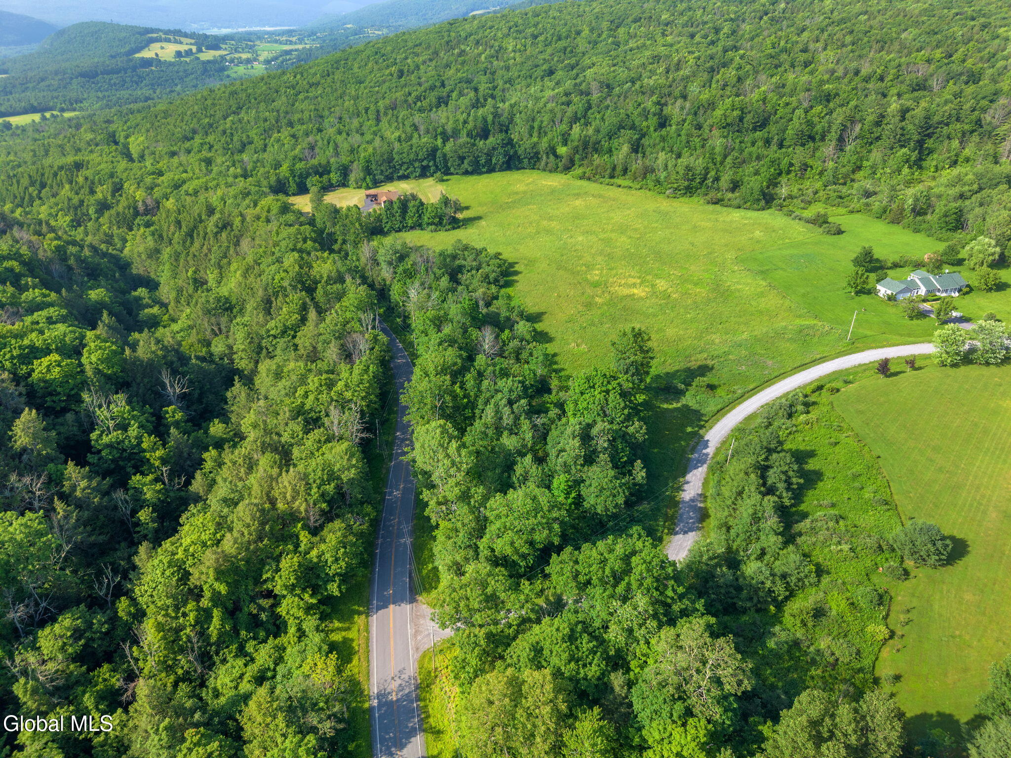 1008 Guinea Road Middleburgh NY 12122