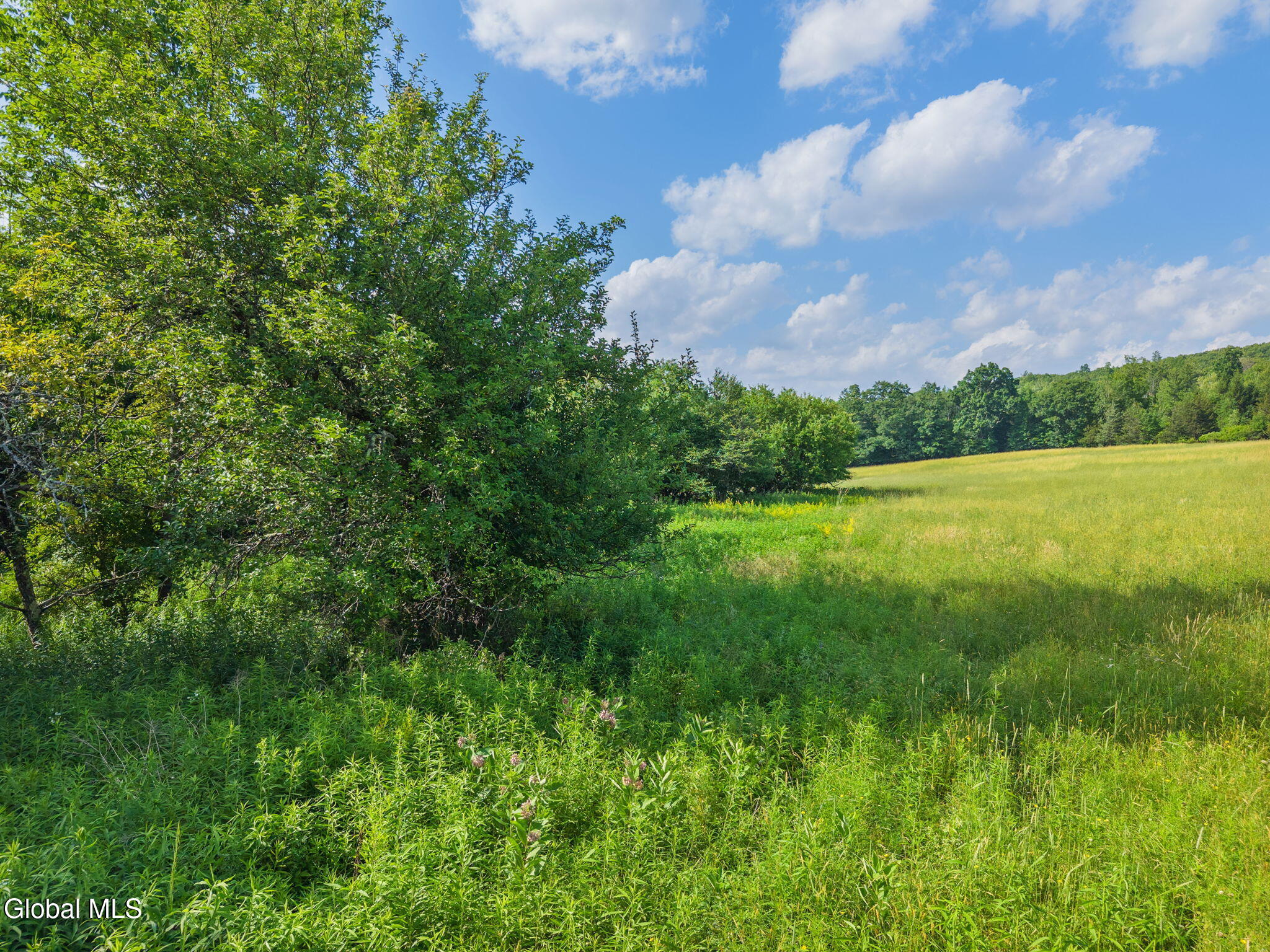 1008 Guinea Road Middleburgh NY 12122