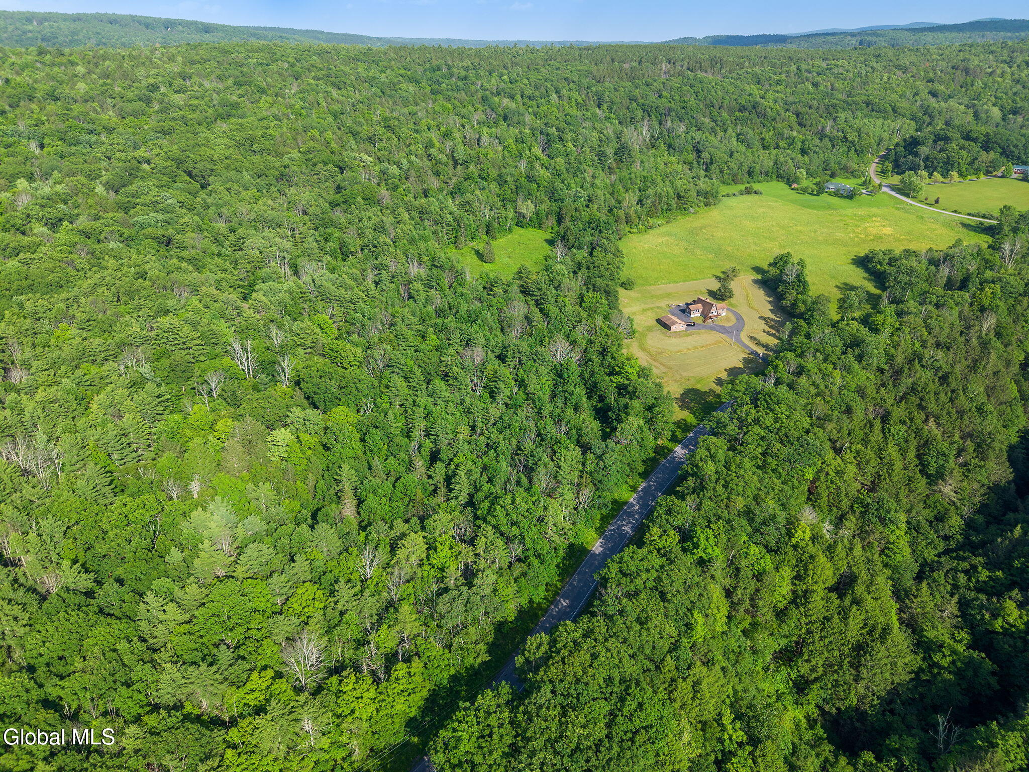1008 Guinea Road Middleburgh NY 12122