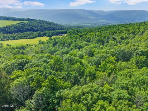 1008 Guinea Road Middleburgh NY 12122