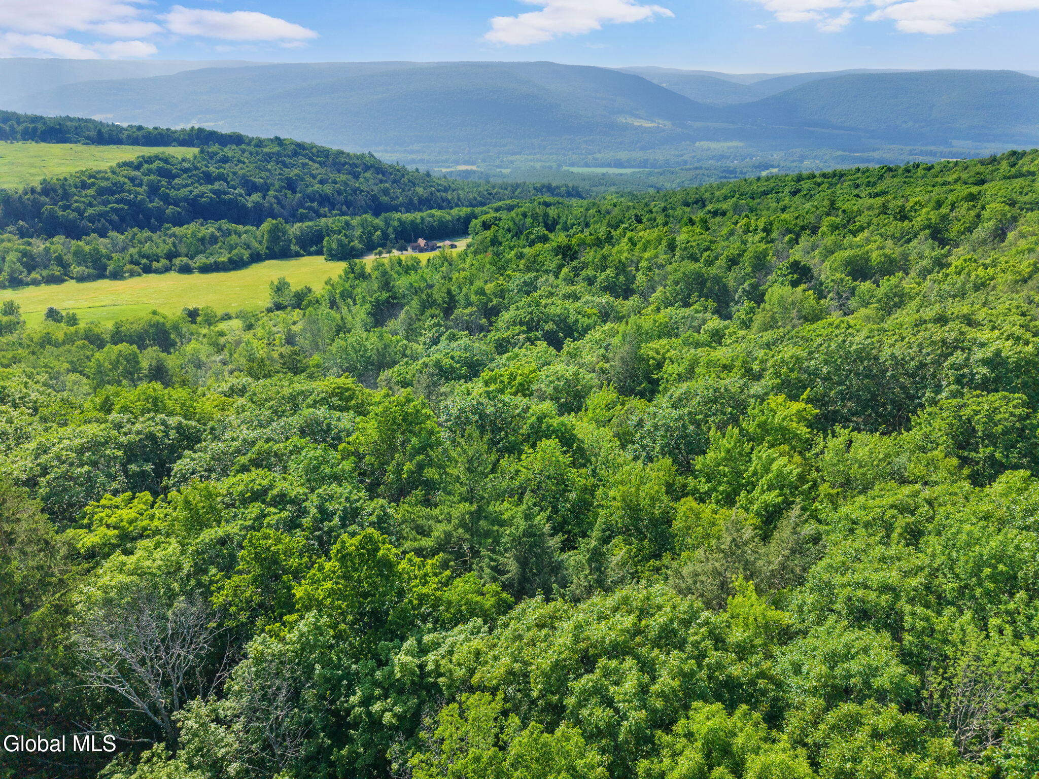 1008 Guinea Road Middleburgh NY 12122