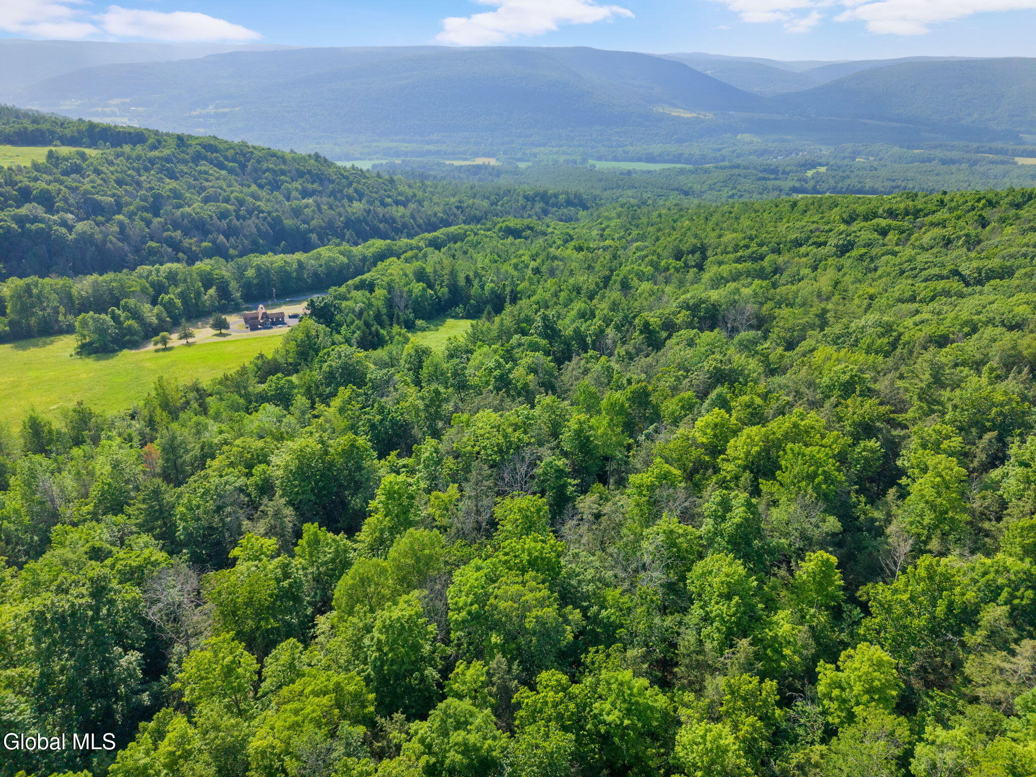 1008 Guinea Road Middleburgh NY 12122