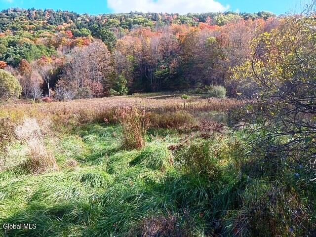 228 County Highway 38 East Worcester NY 12064
