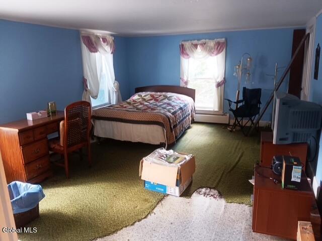 228 County Highway 38 East Worcester NY 12064