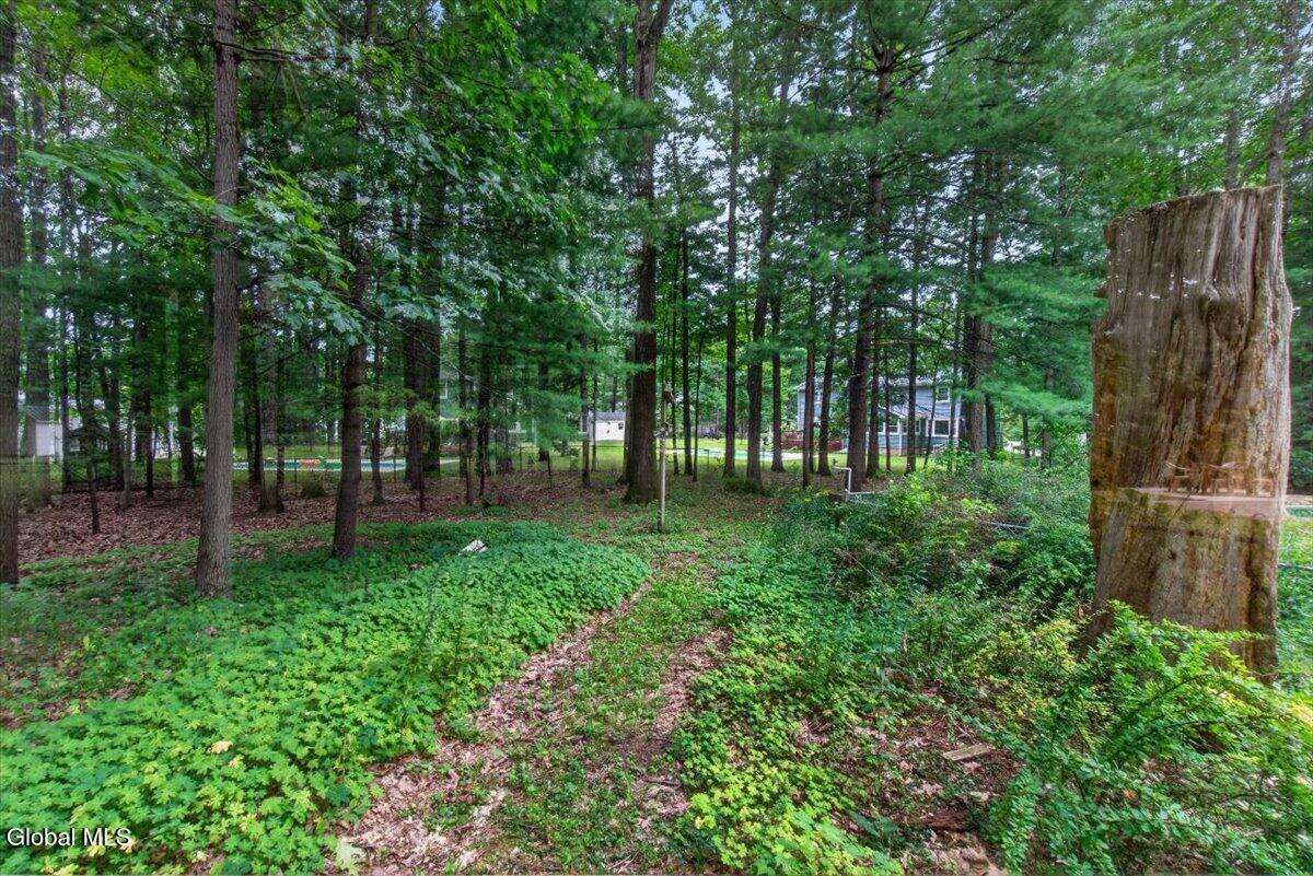 61 Sonat Road Clifton Park NY 12065