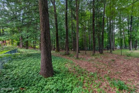 61 Sonat Road Clifton Park NY 12065