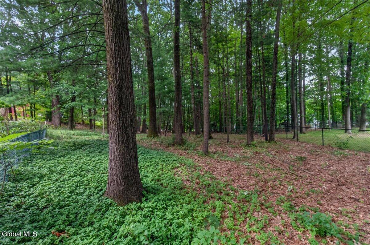 61 Sonat Road Clifton Park NY 12065