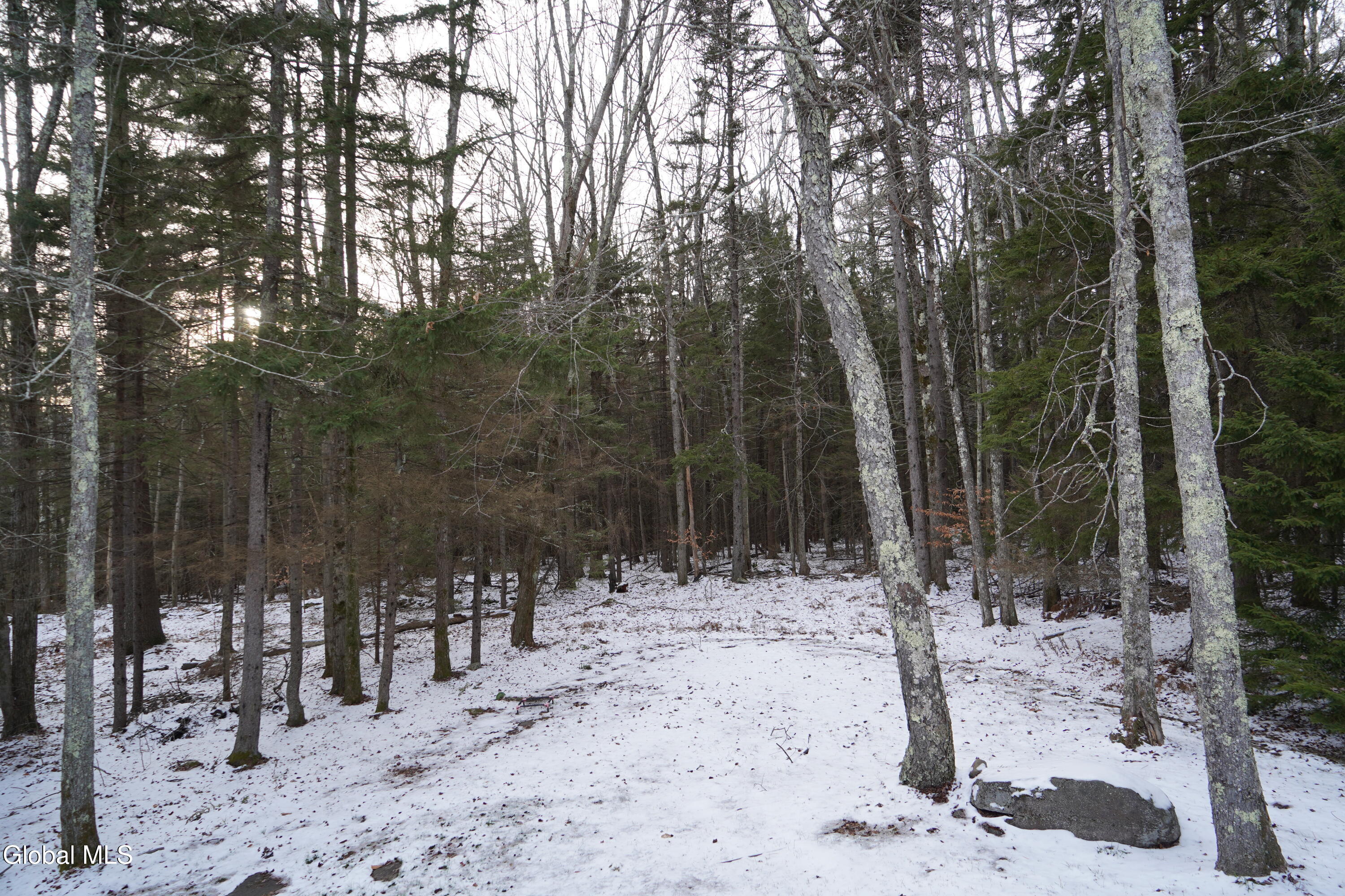 73 Fern Ridge Road Haines Falls NY 12436
