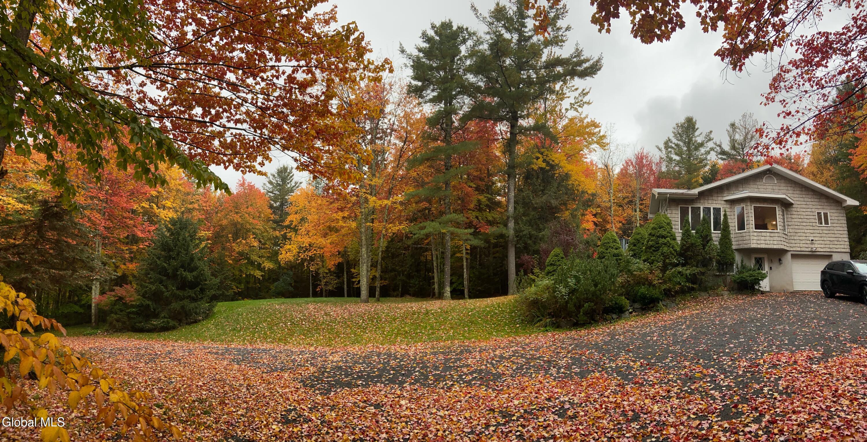 73 Fern Ridge Road Haines Falls NY 12436