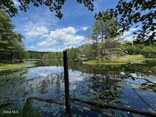 123 Forest Lake Road Chestertown NY 12817