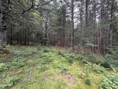1826 Blue Ridge Road North Hudson NY 12855