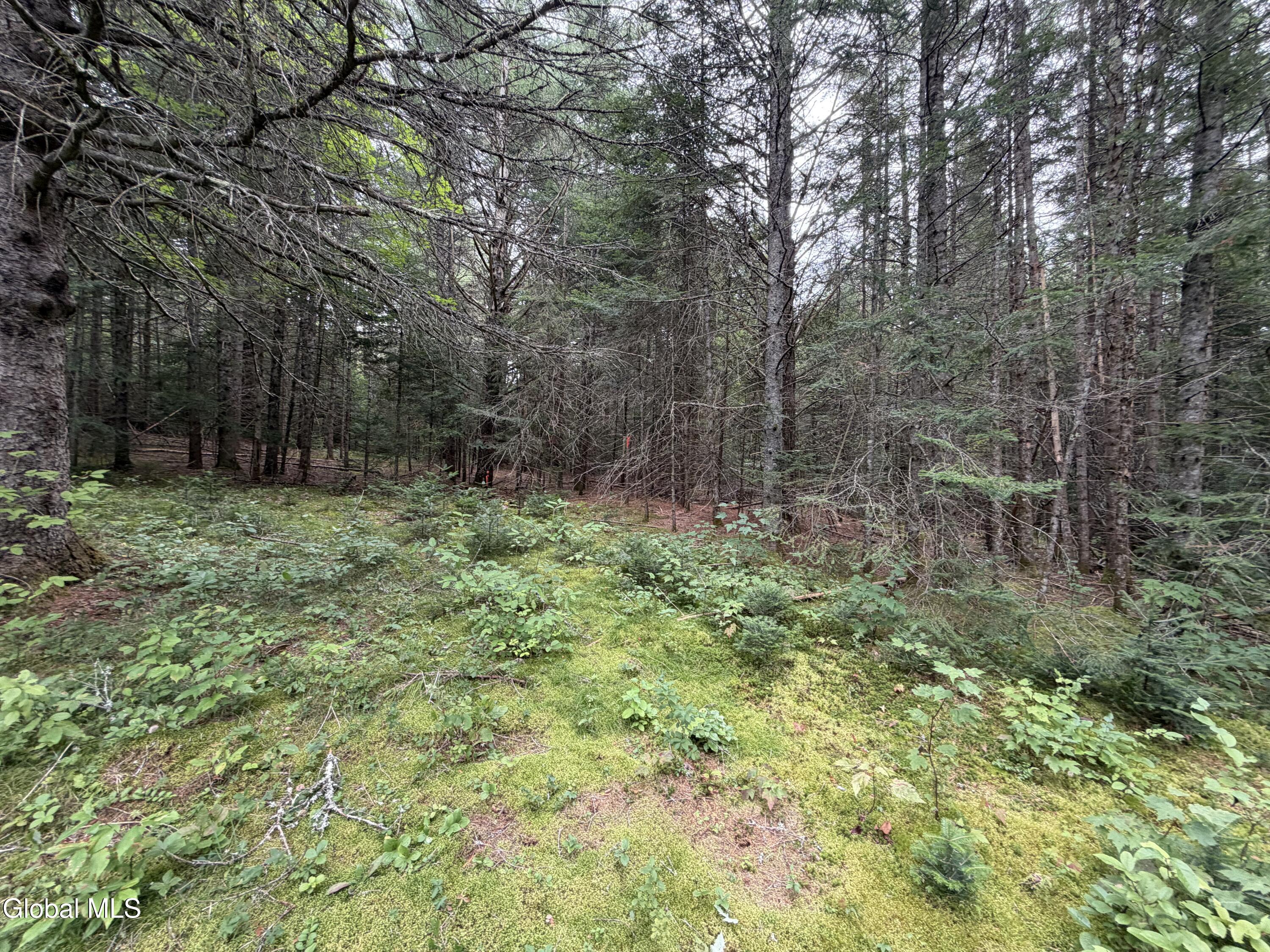 1826 Blue Ridge Road North Hudson NY 12855