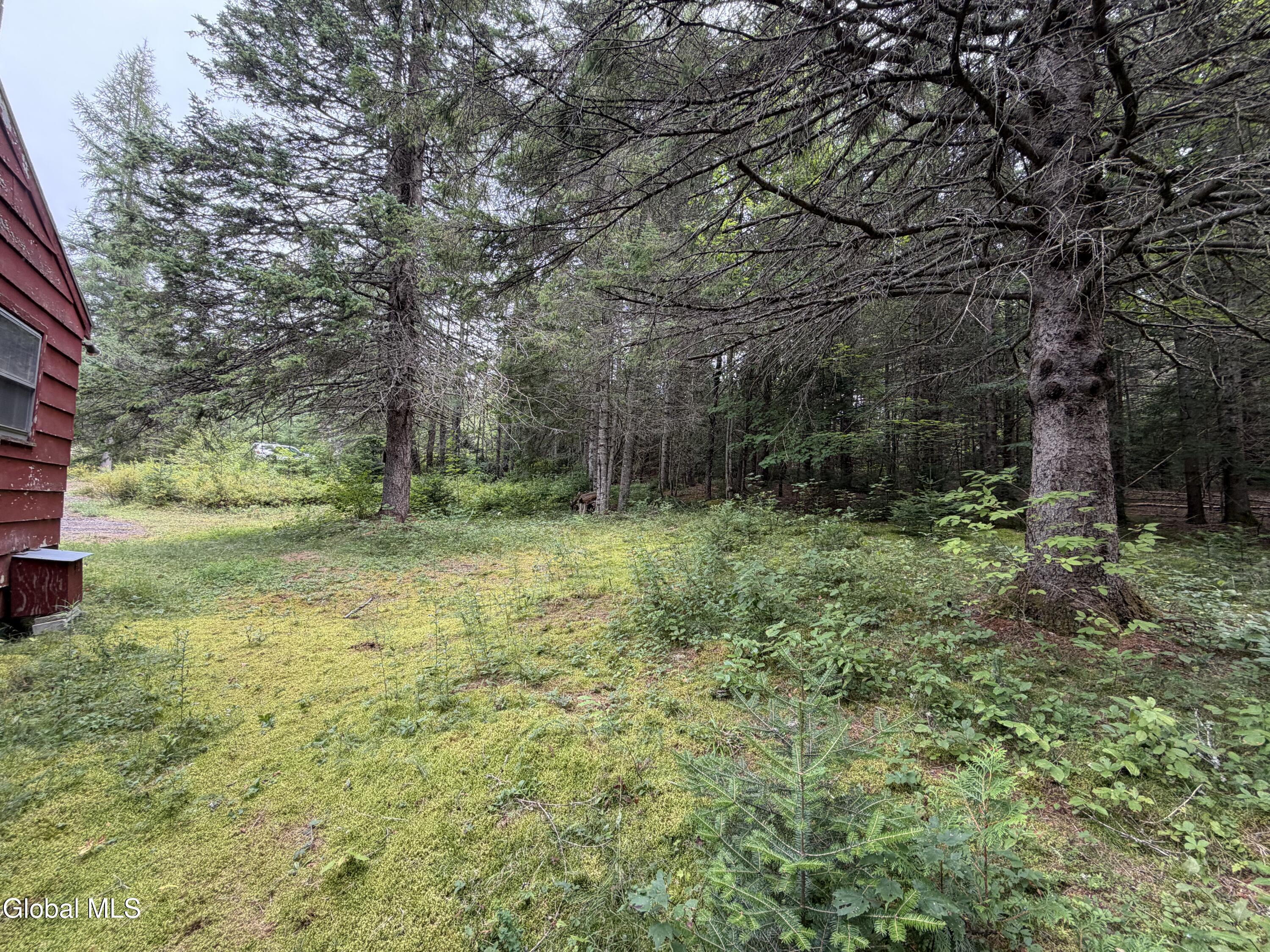 1826 Blue Ridge Road North Hudson NY 12855