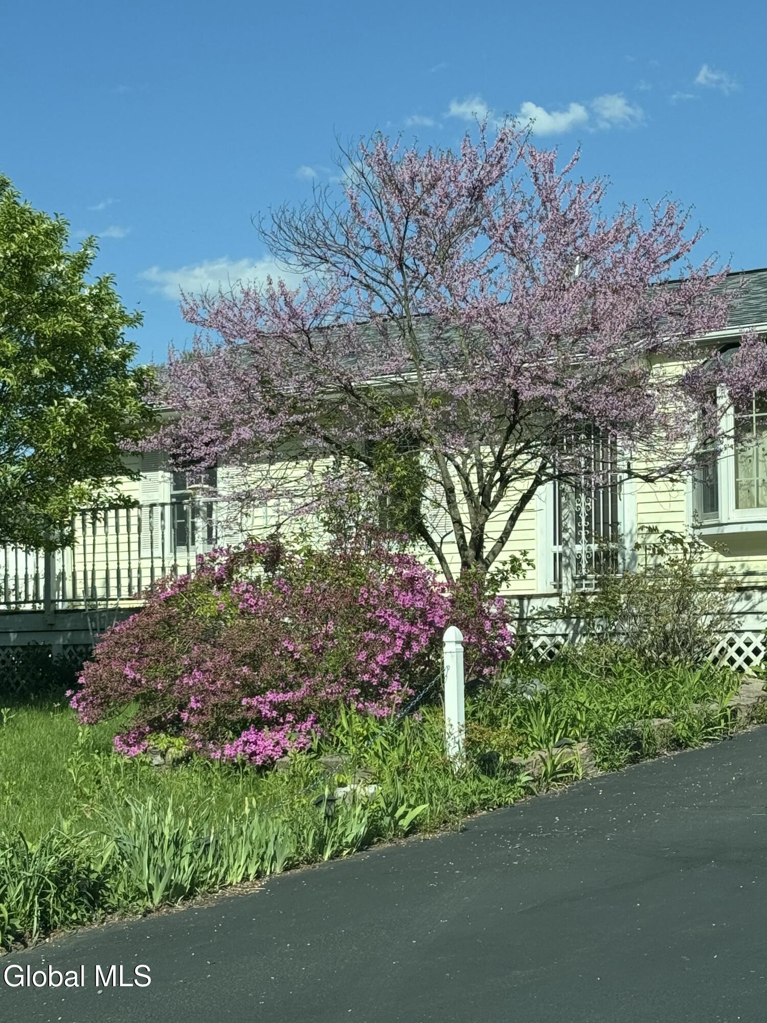 31 Amelia Drive Niskayuna NY 12309