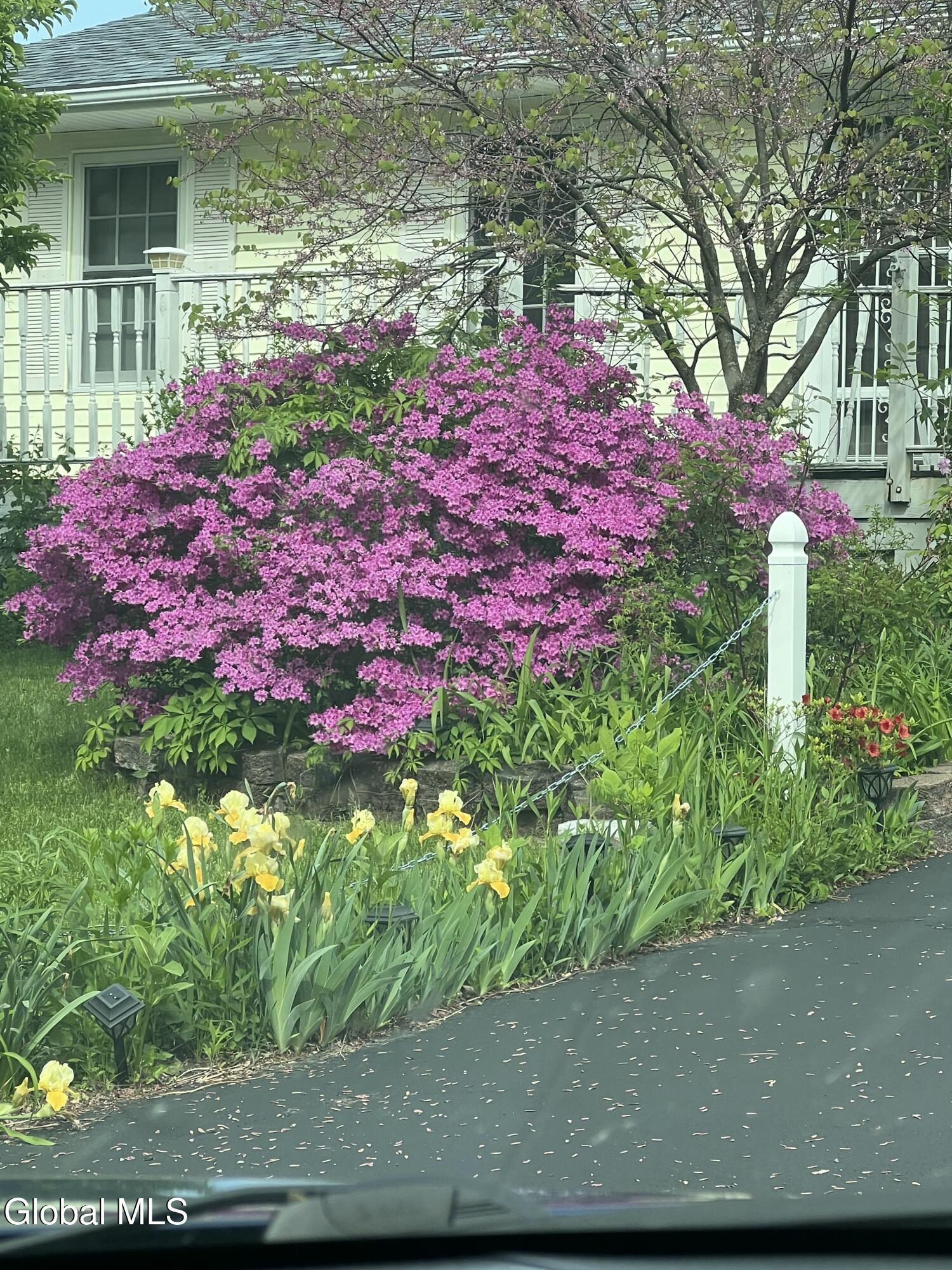 31 Amelia Drive Niskayuna NY 12309