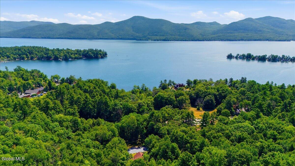 4387 Lake Shore Drive Diamond Point NY 12824