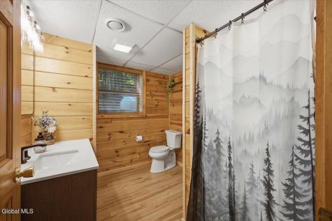 4387 Lake Shore Drive Diamond Point NY 12824