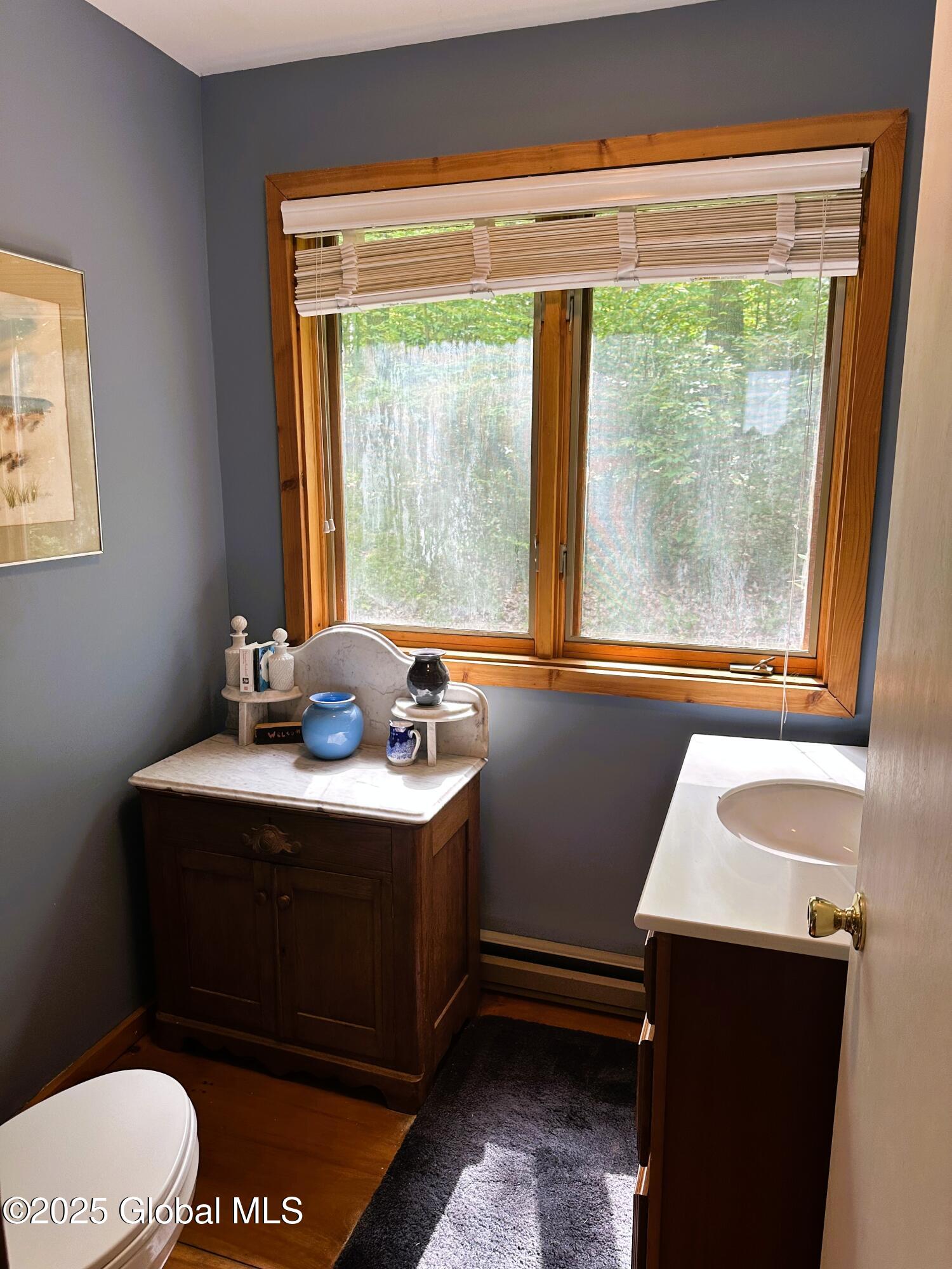 308 Shaker Ridge Drive Canaan NY 12029