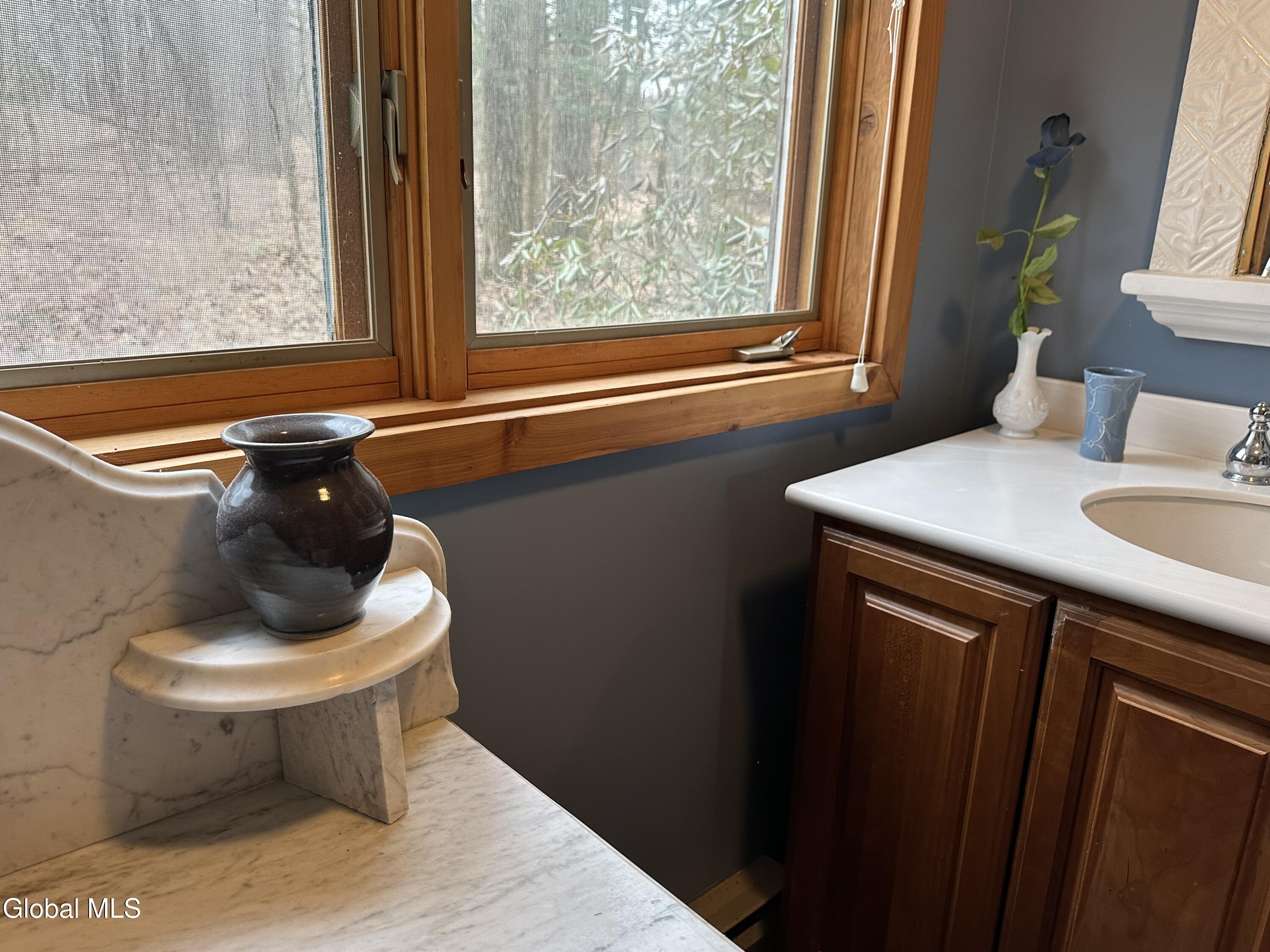 308 Shaker Ridge Drive Canaan NY 12029