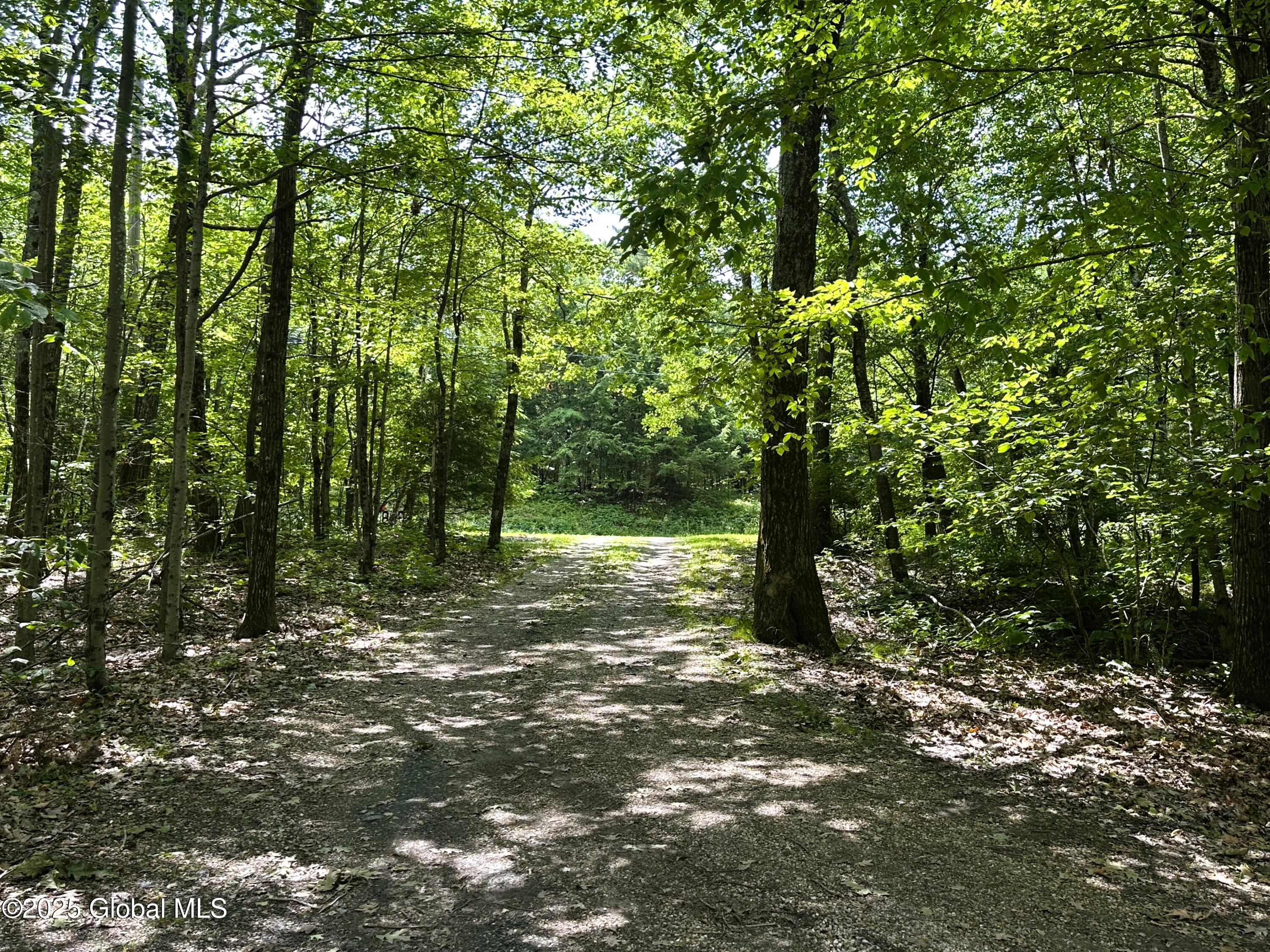 308 Shaker Ridge Drive Canaan NY 12029