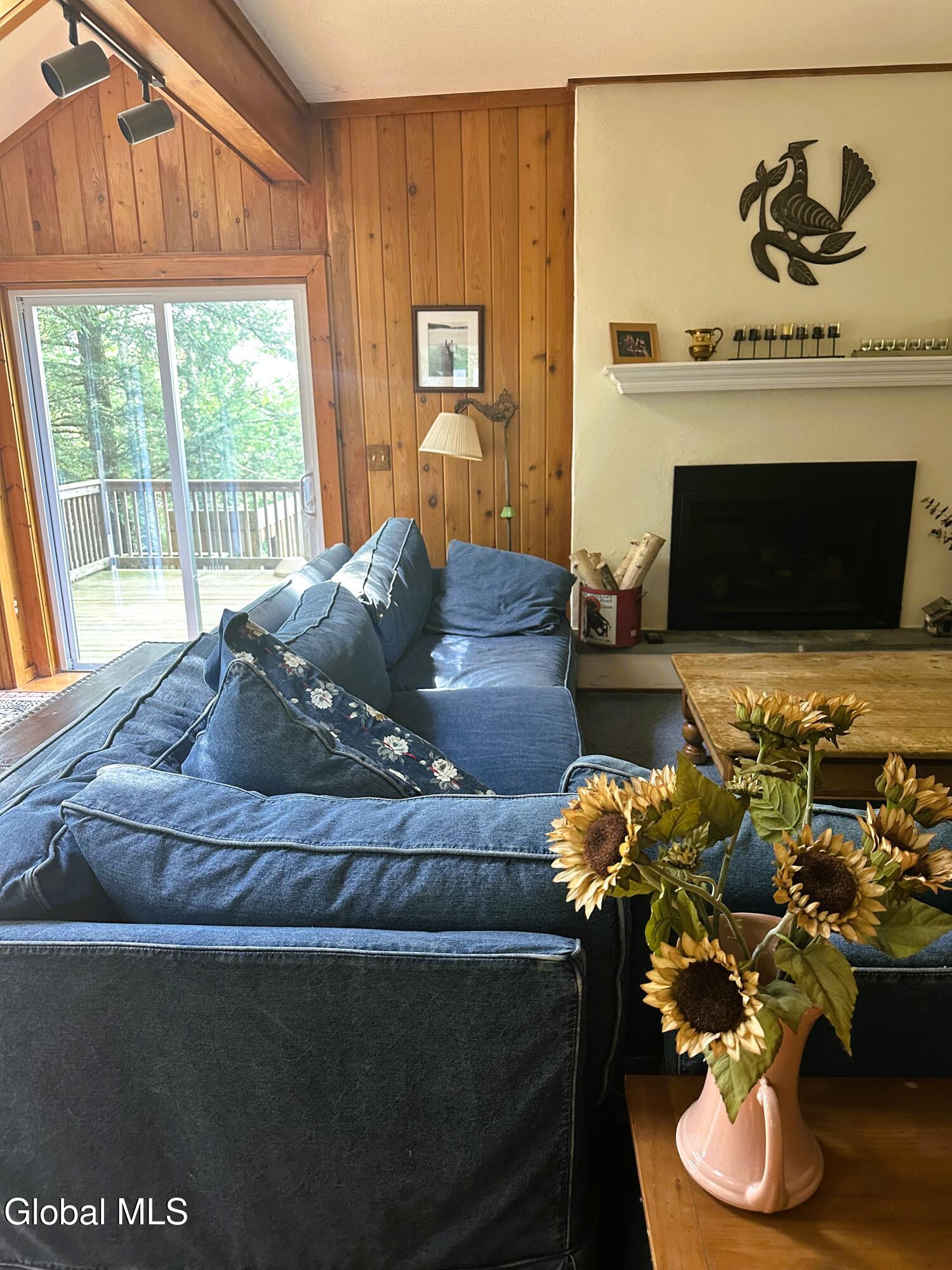 308 Shaker Ridge Drive Canaan NY 12029