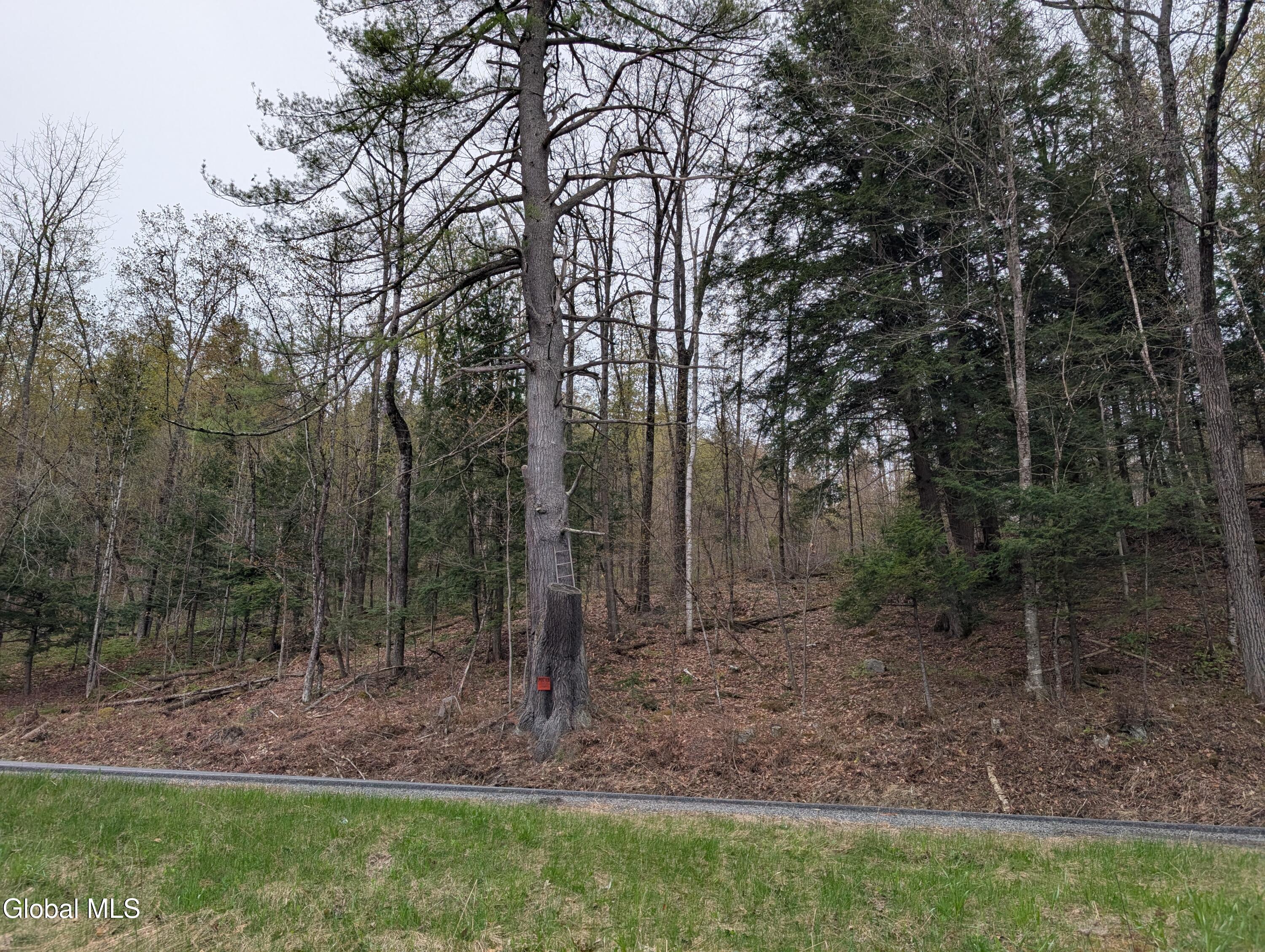 2387 New York 74 Ticonderoga NY 12883