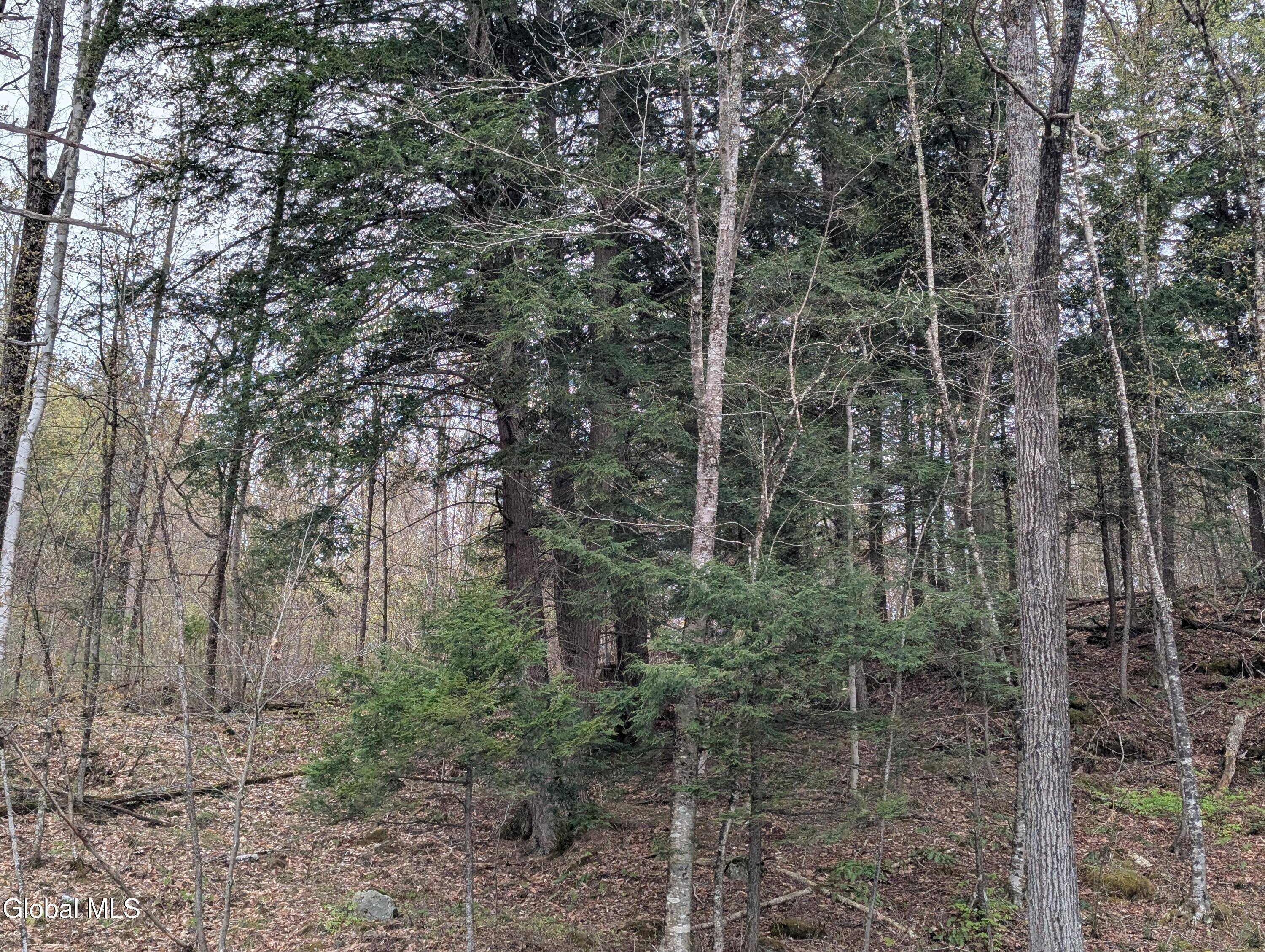 2387 New York 74 Ticonderoga NY 12883