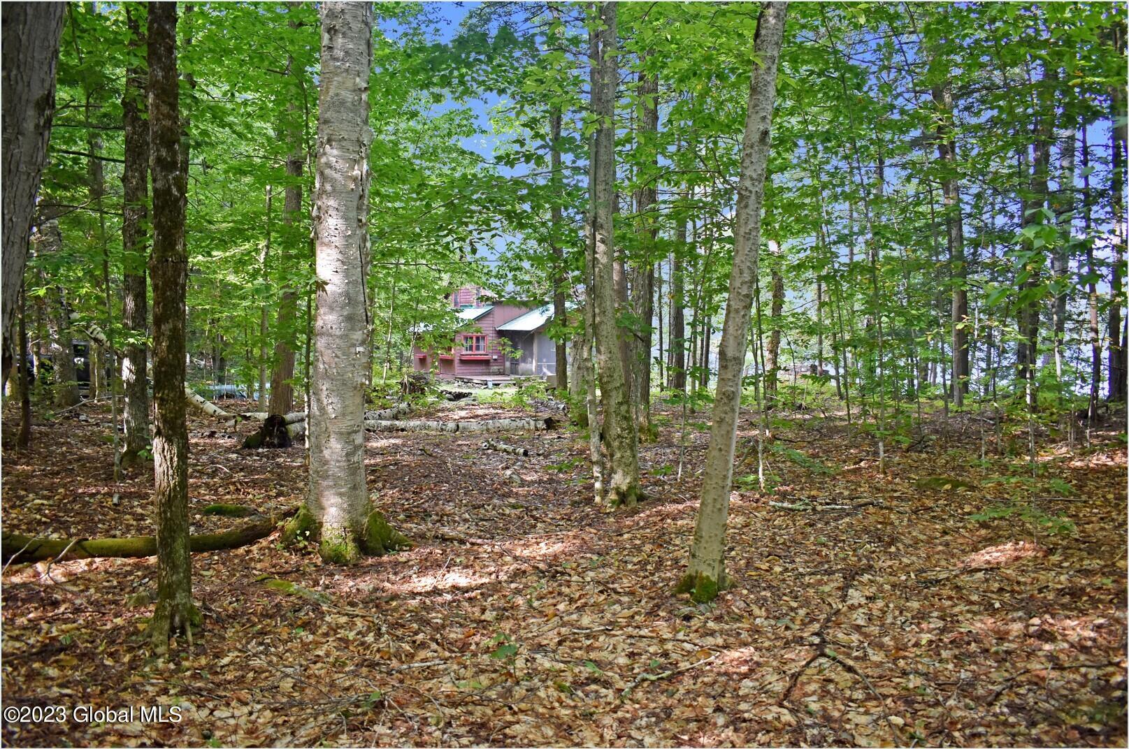 21 Deepwood Drive Ticonderoga NY 12883