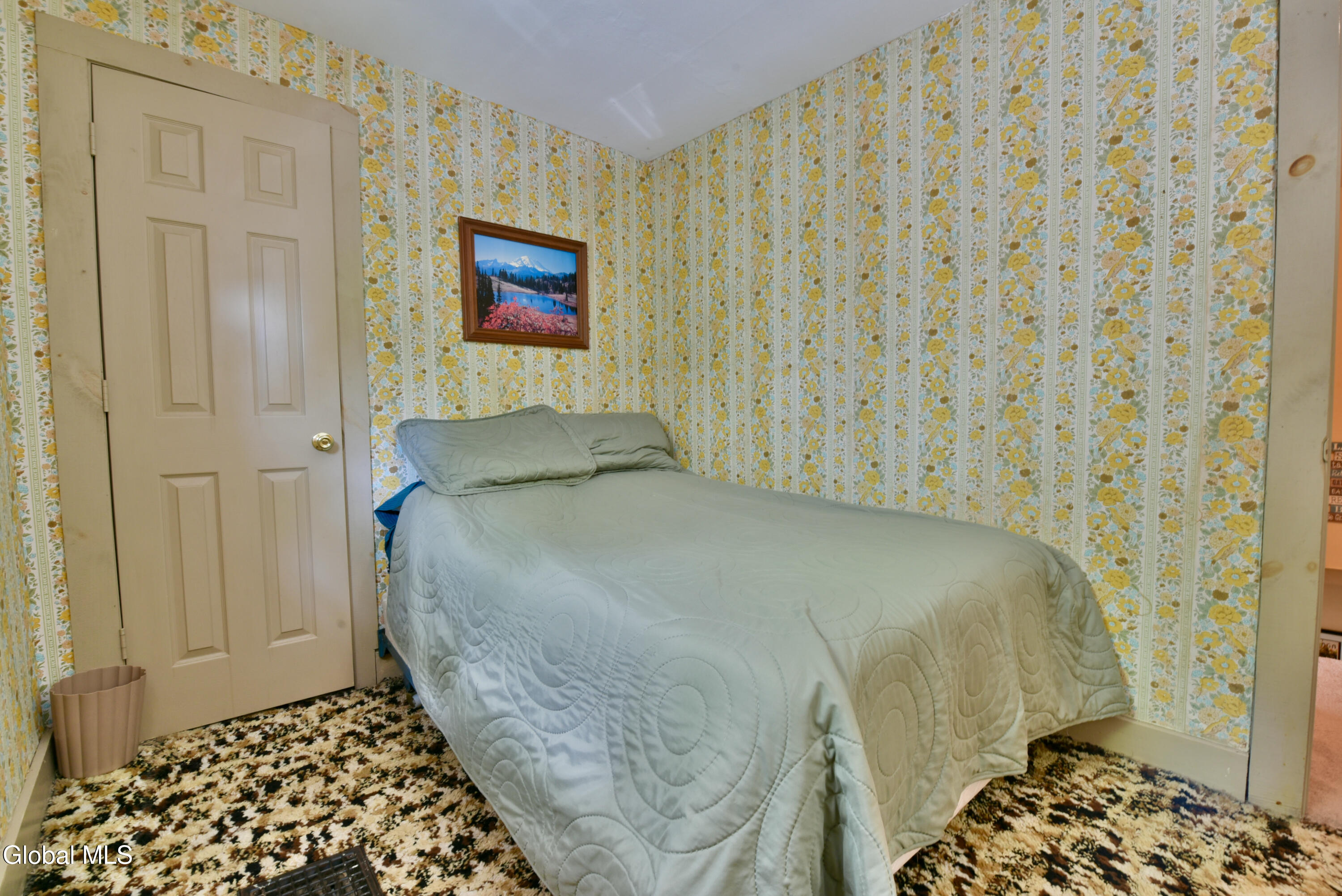 205 Houseman Street Mayfield NY 12117