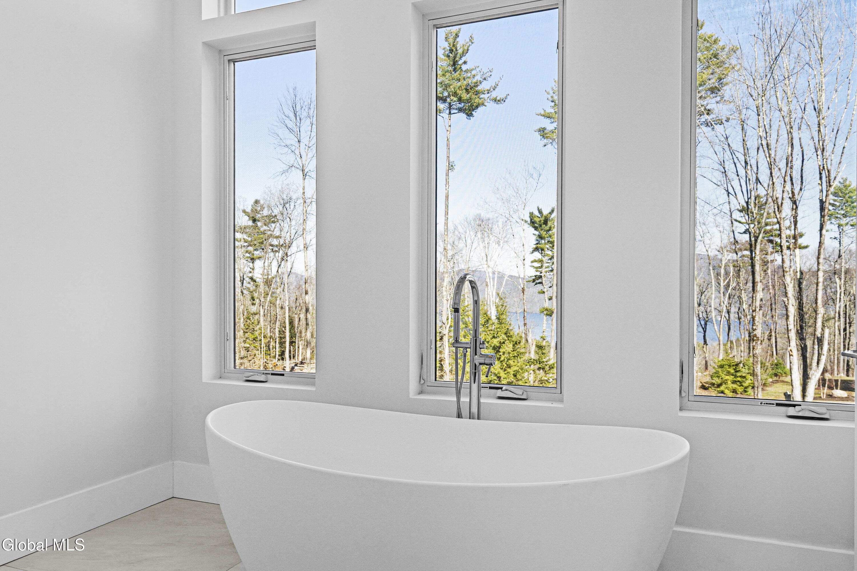 11 S Eagle Ridge Diamond Point NY 12824