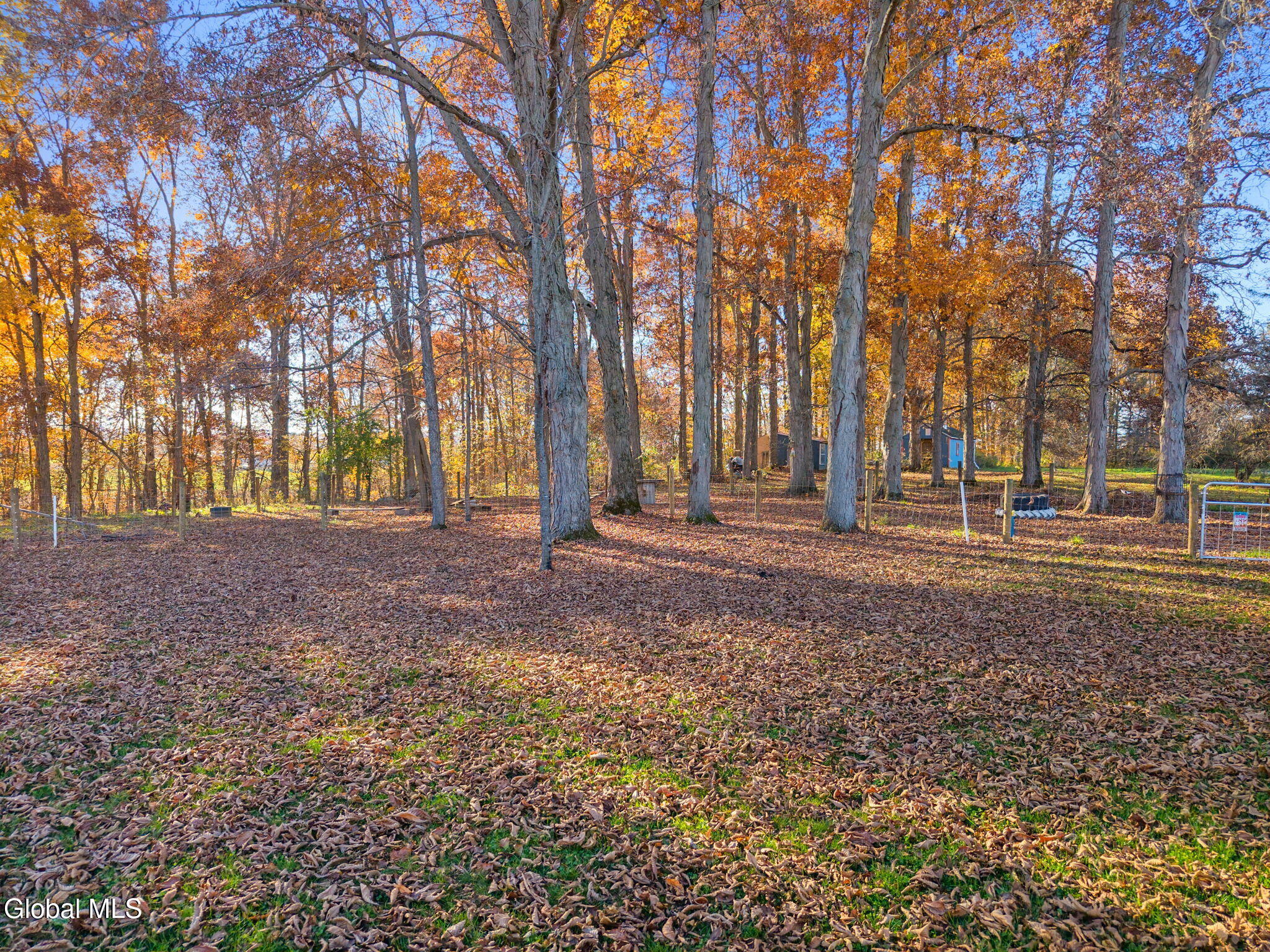 507 Oldick Road Fort Plain NY 13339