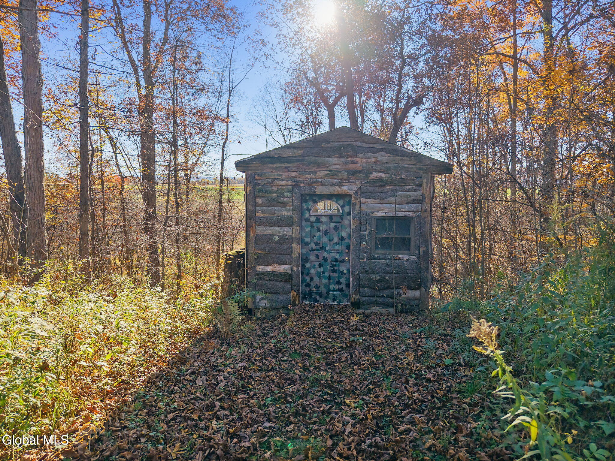 507 Oldick Road Fort Plain NY 13339