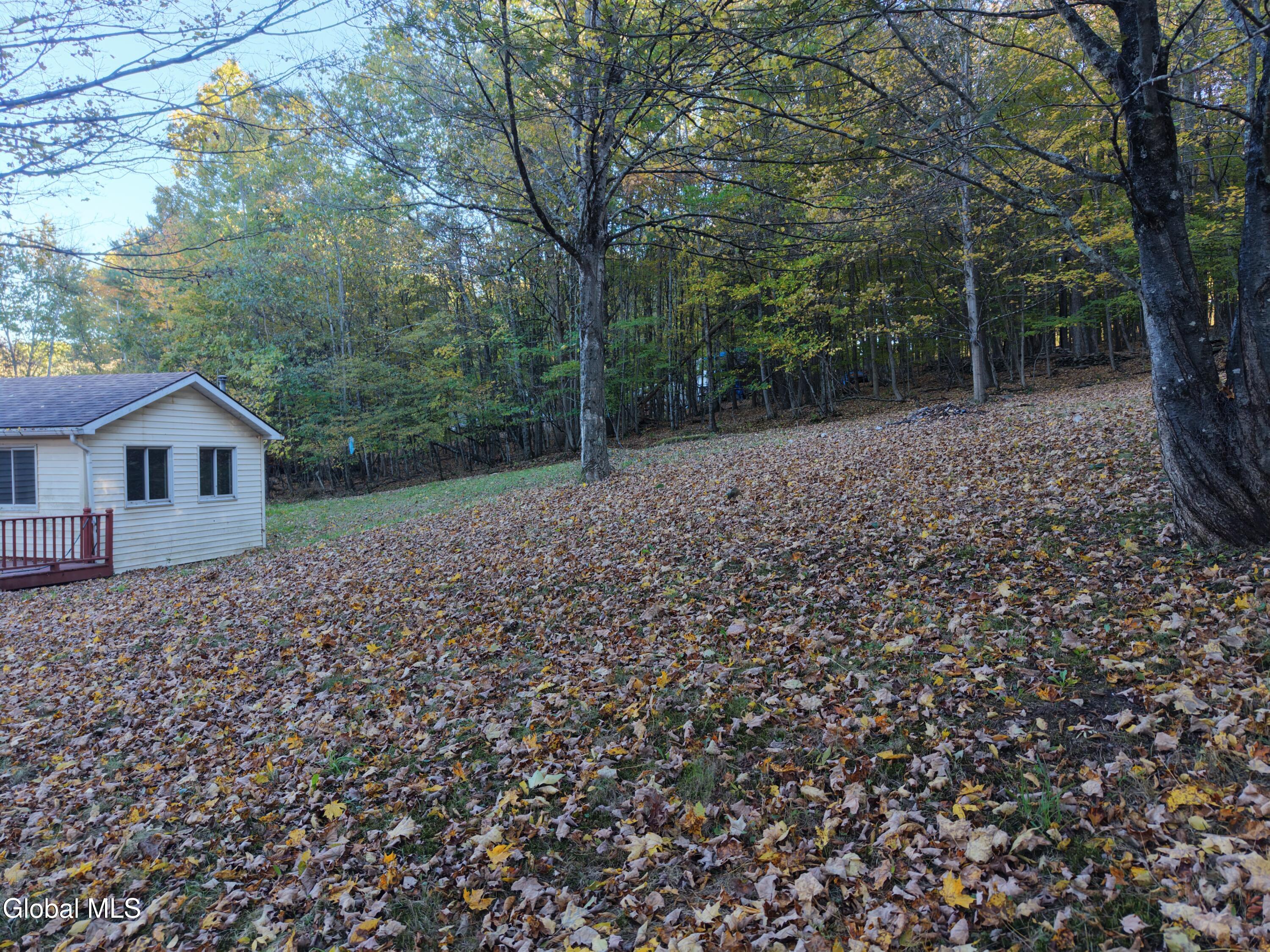 194 Enchanted Valley Road Durham NY 12418