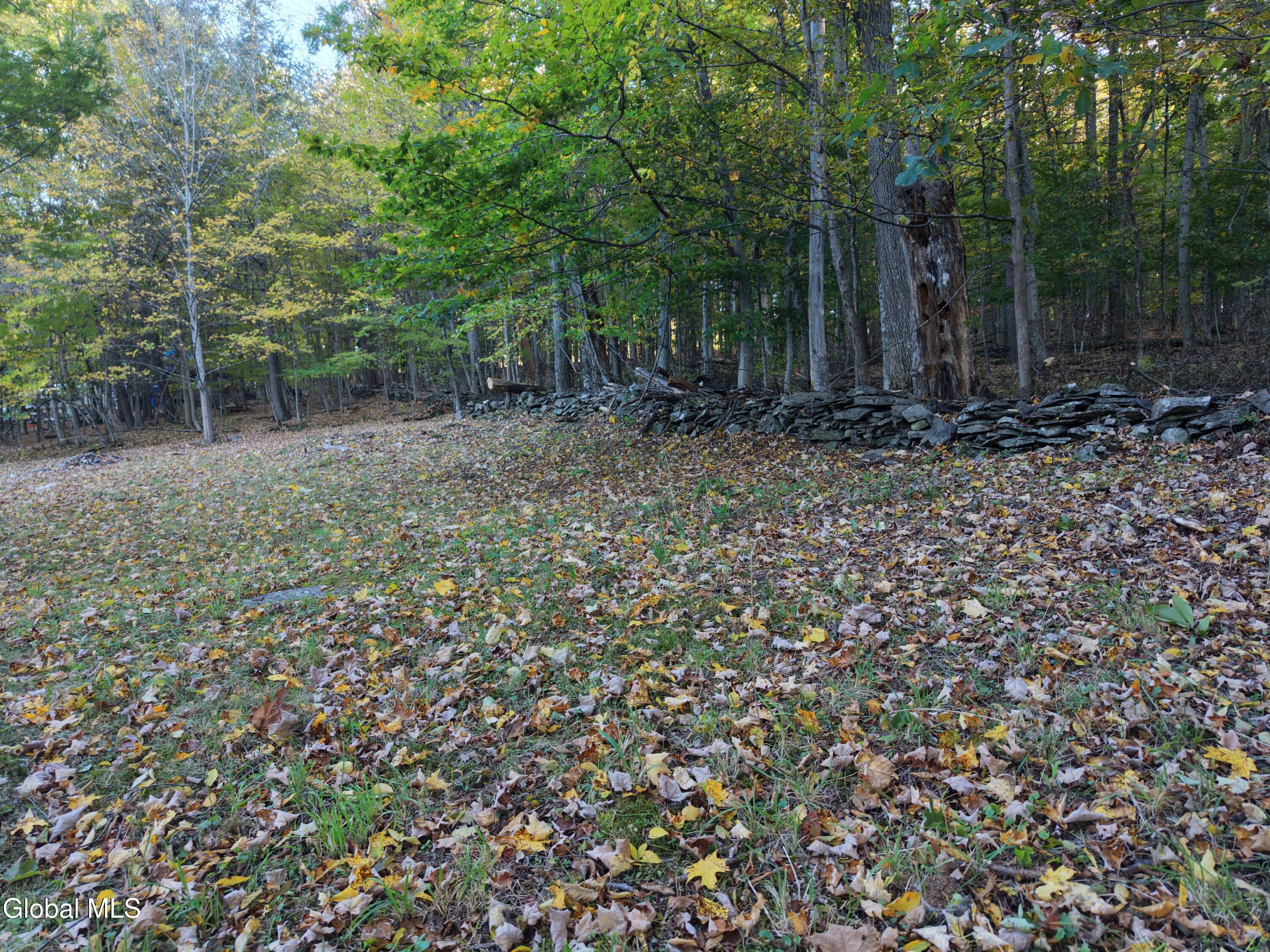 194 Enchanted Valley Road Durham NY 12418