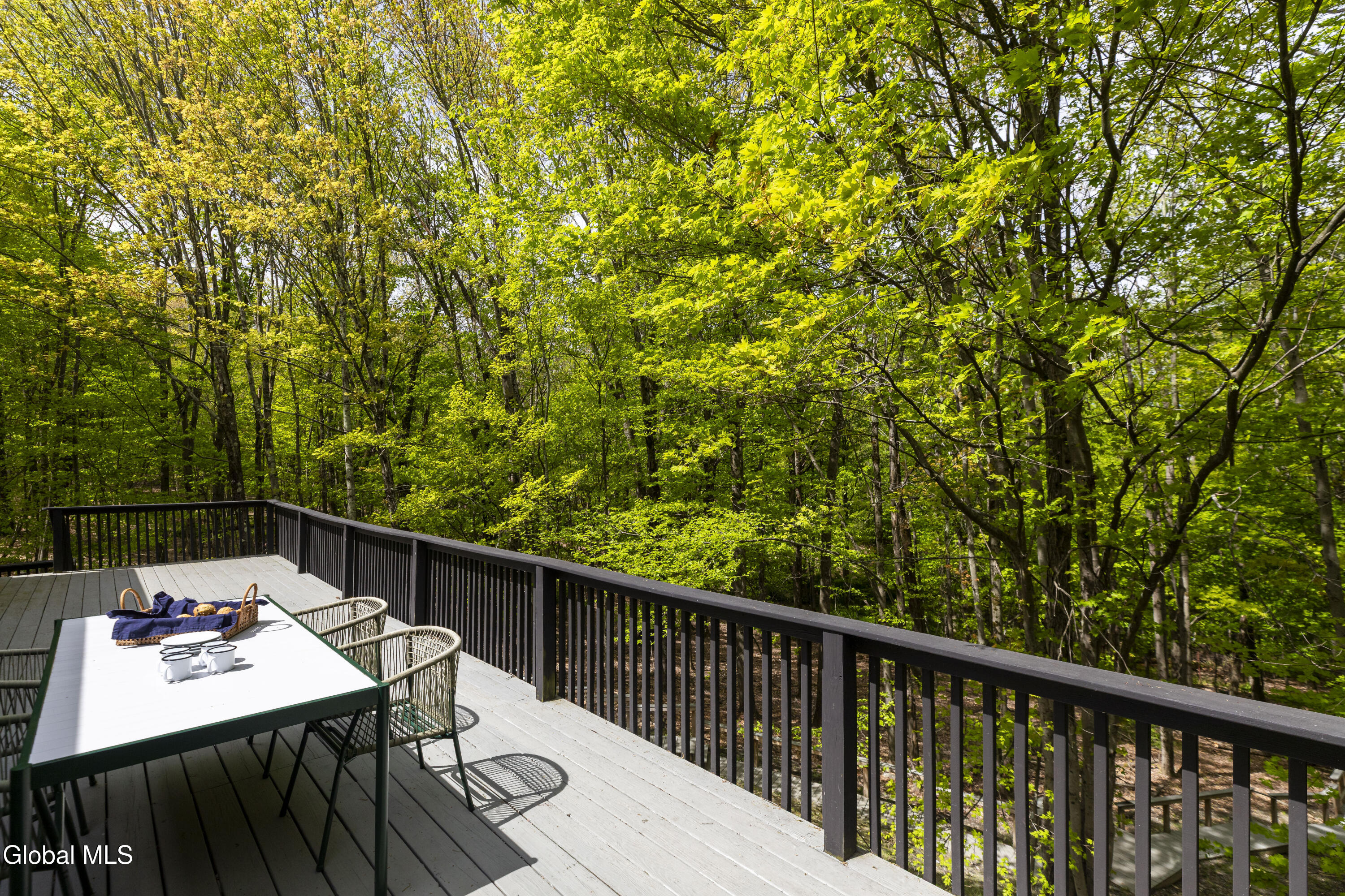 1 Van Bueran Drive Hillsdale NY 12529