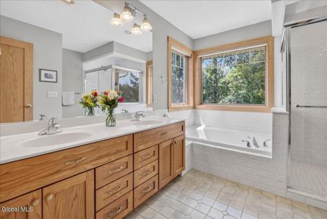 3 Proctor Court Loudonville NY 12211