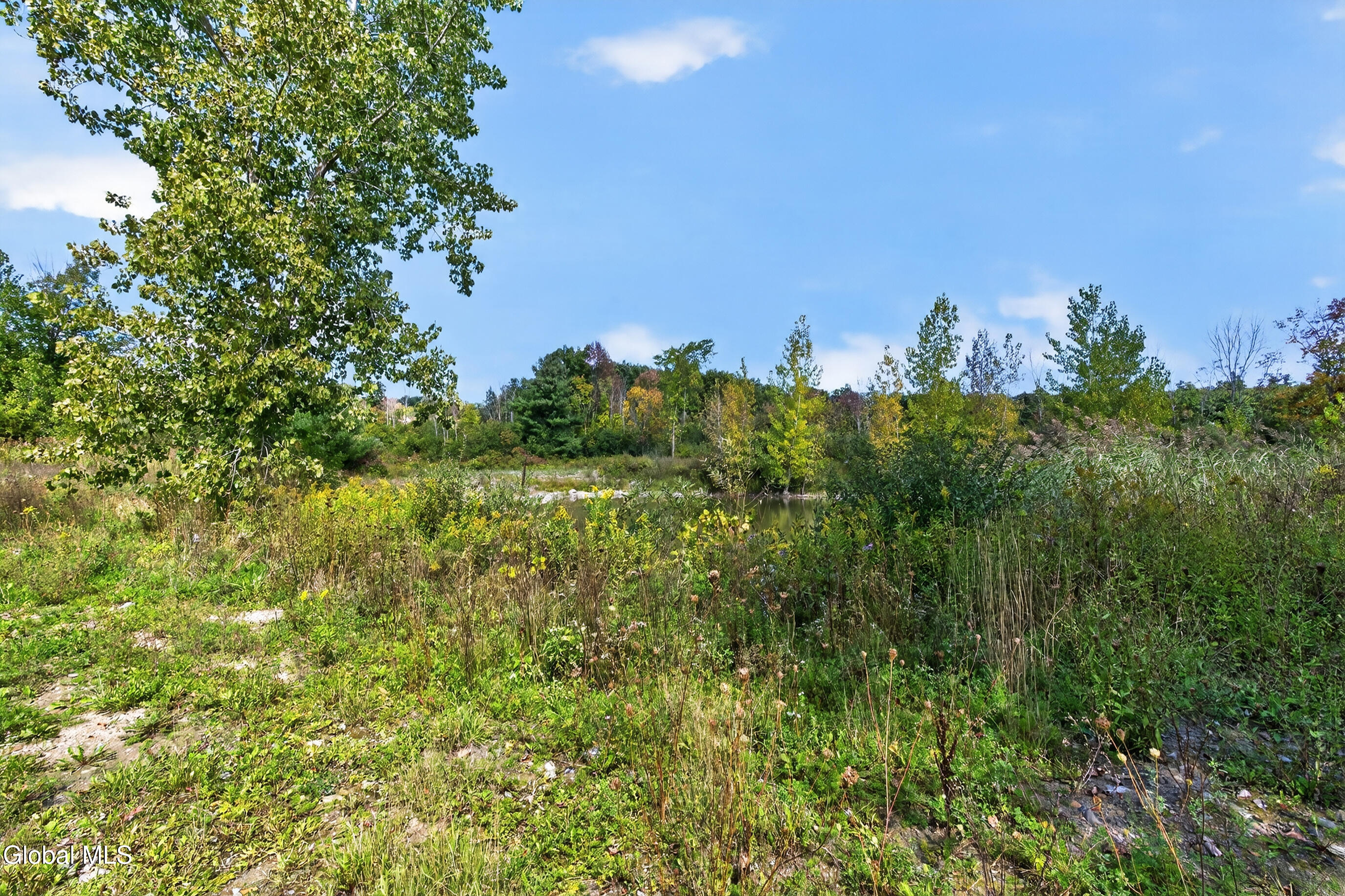 181 Cross Road Berne NY 12059
