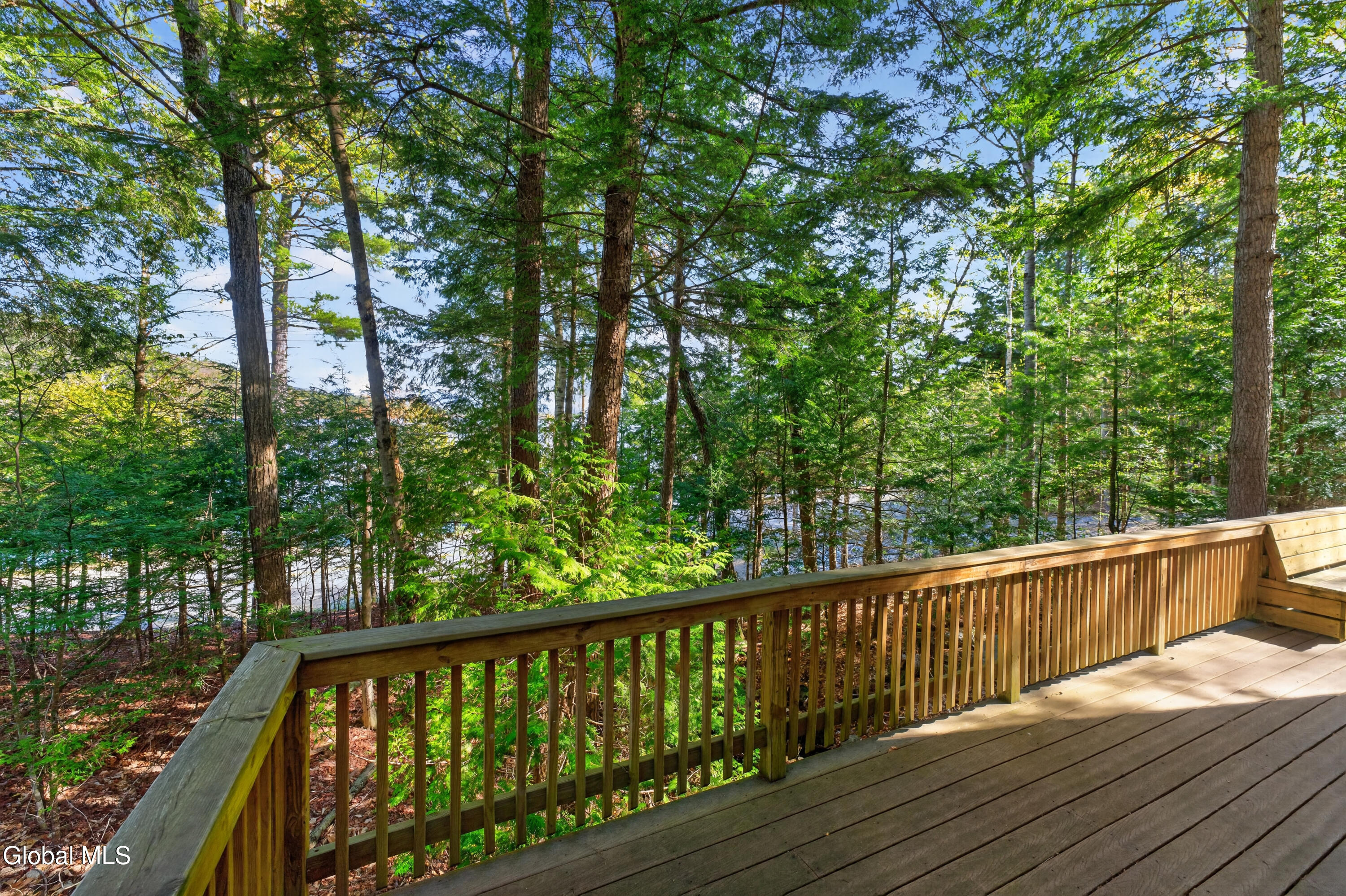 55 Lakeview Drive Adirondack NY 12808