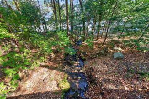 55 Lakeview Drive Adirondack NY 12808