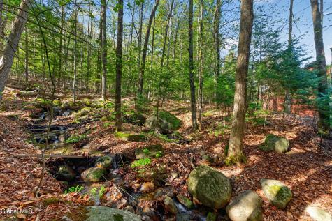 55 Lakeview Drive Adirondack NY 12808