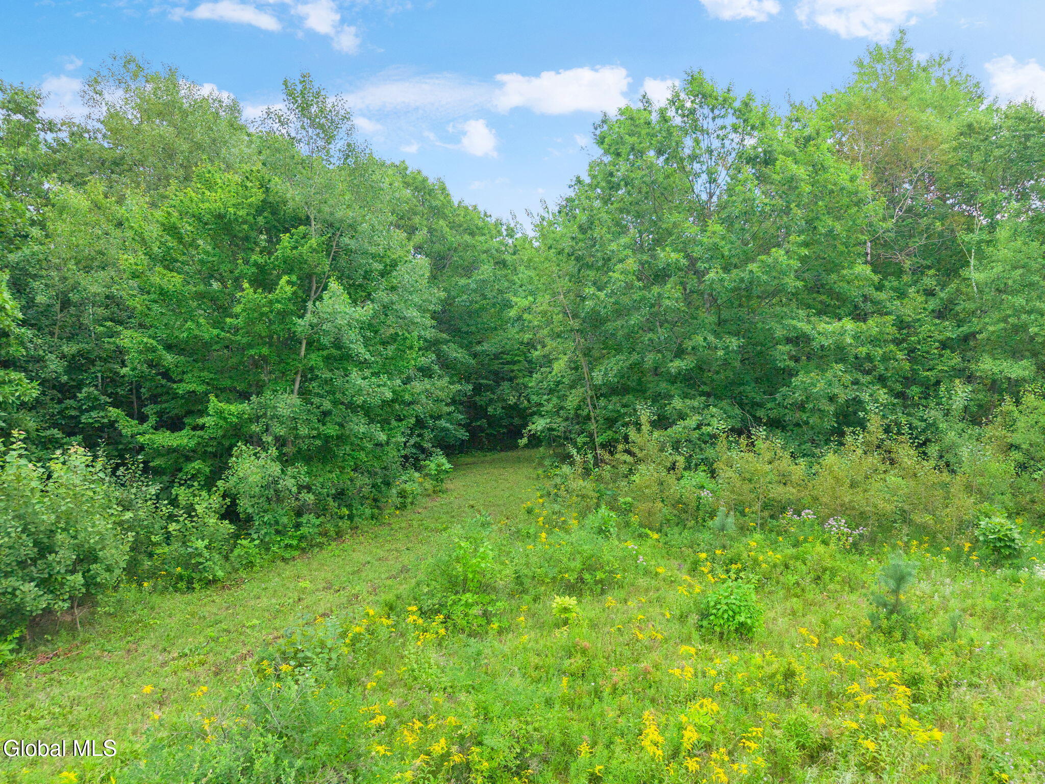 437 Karas Road Richmondville NY 12149