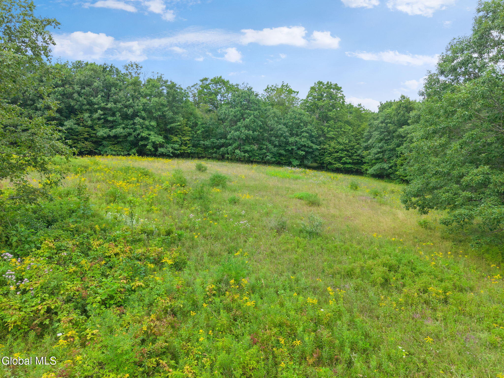 437 Karas Road Richmondville NY 12149