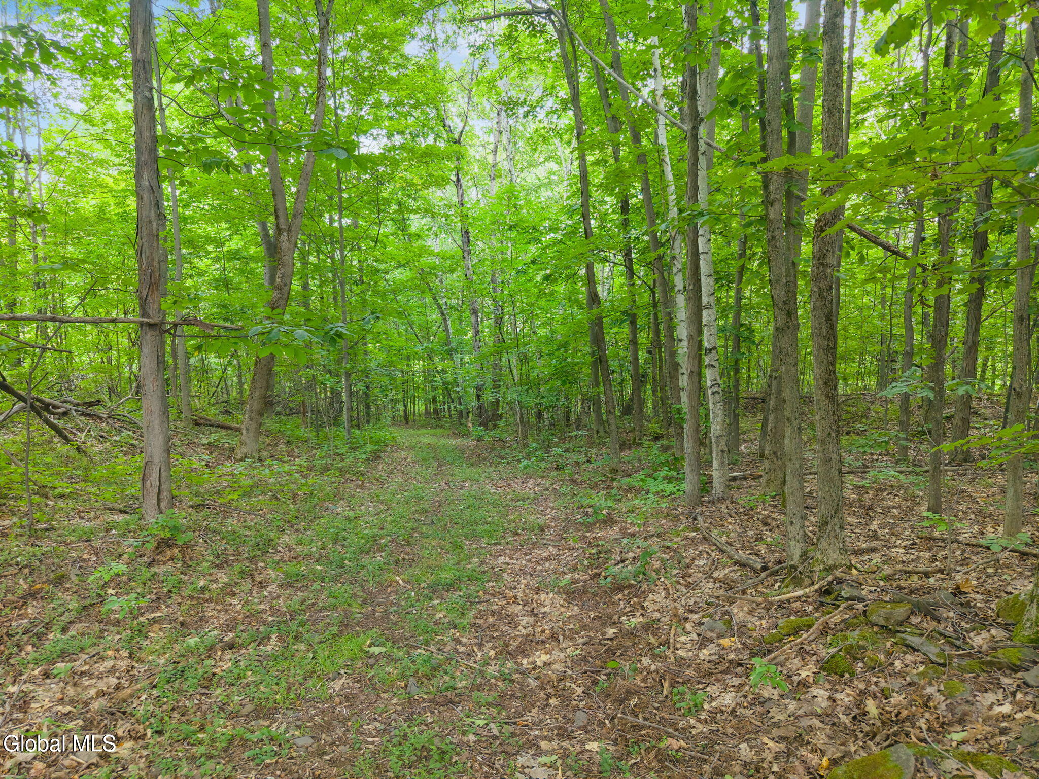 437 Karas Road Richmondville NY 12149