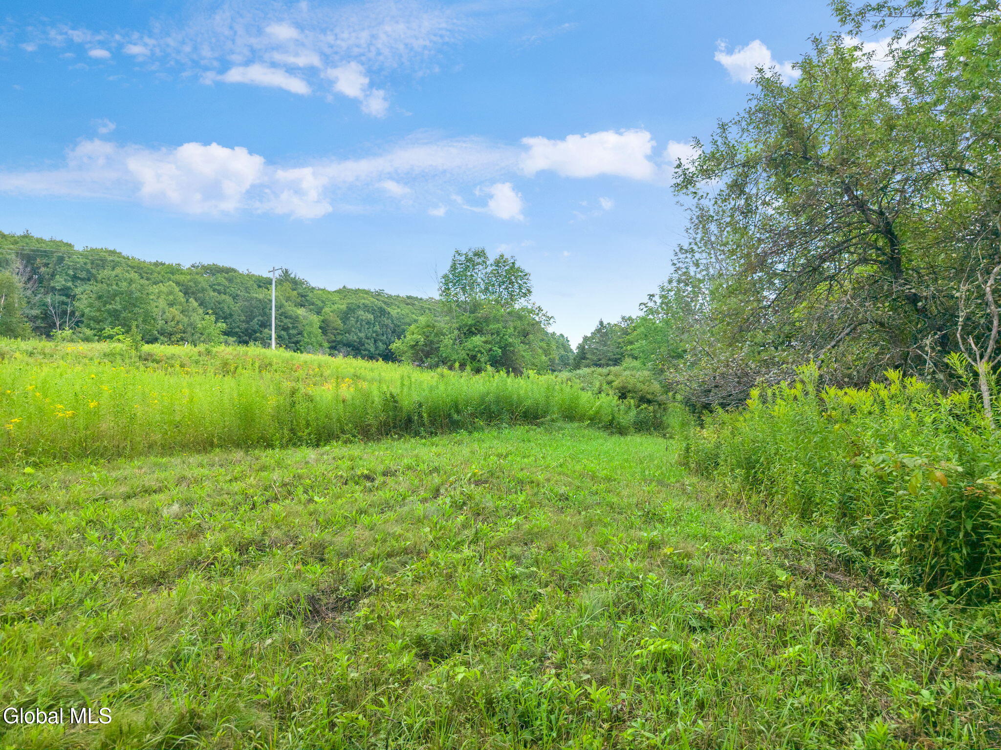 437 Karas Road Richmondville NY 12149