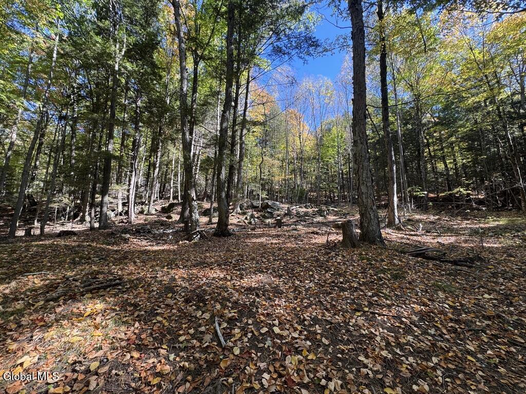 40 Constitution Way Queensbury NY 12827