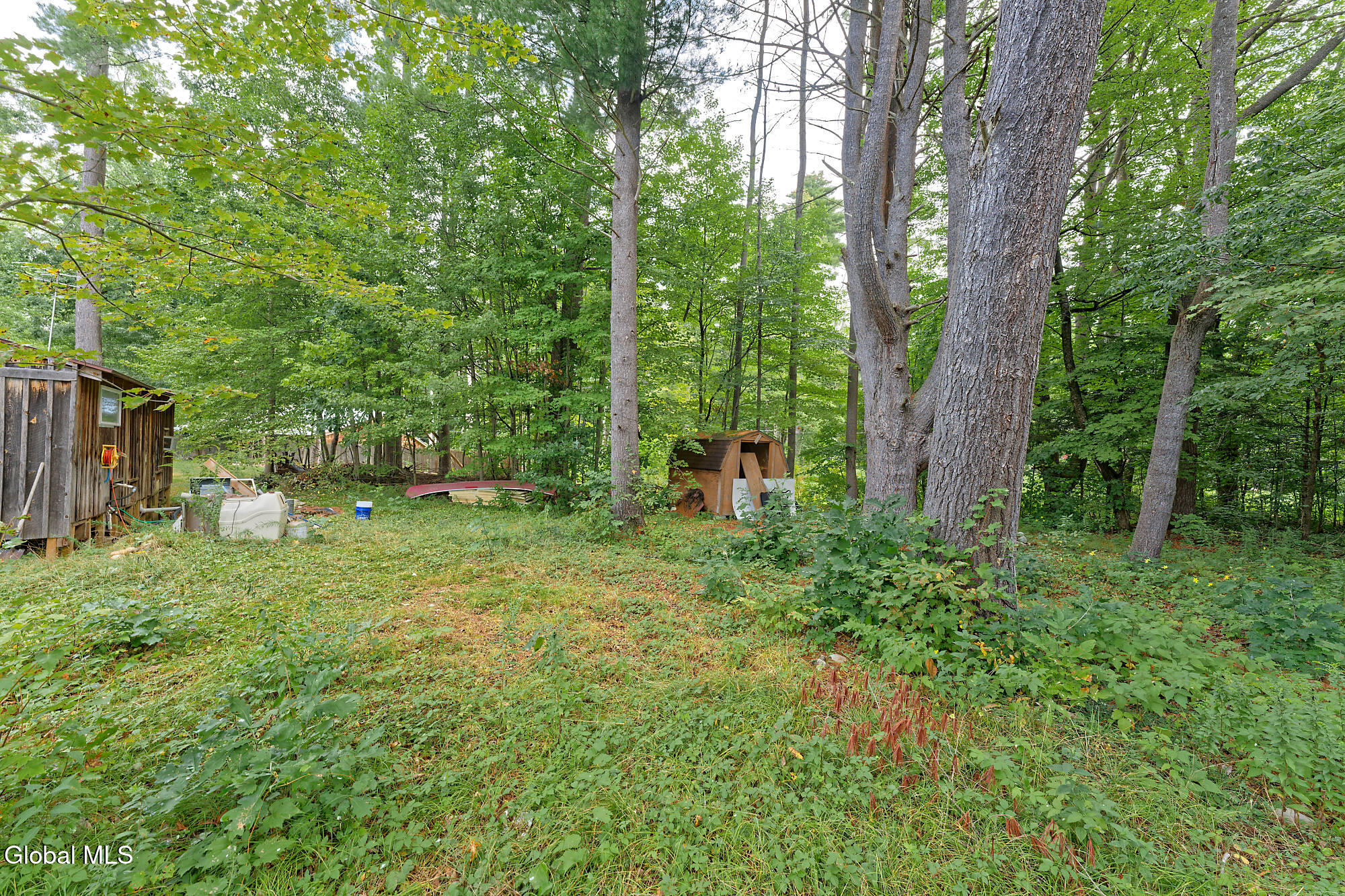 331 Battenkill Evergreens Salem NY 12865