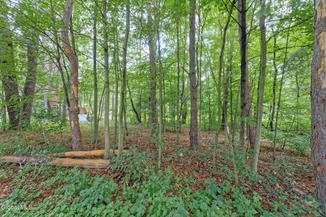 331 Battenkill Evergreens Salem NY 12865