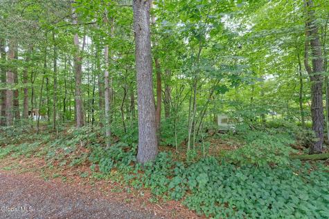 331 Battenkill Evergreens Salem NY 12865
