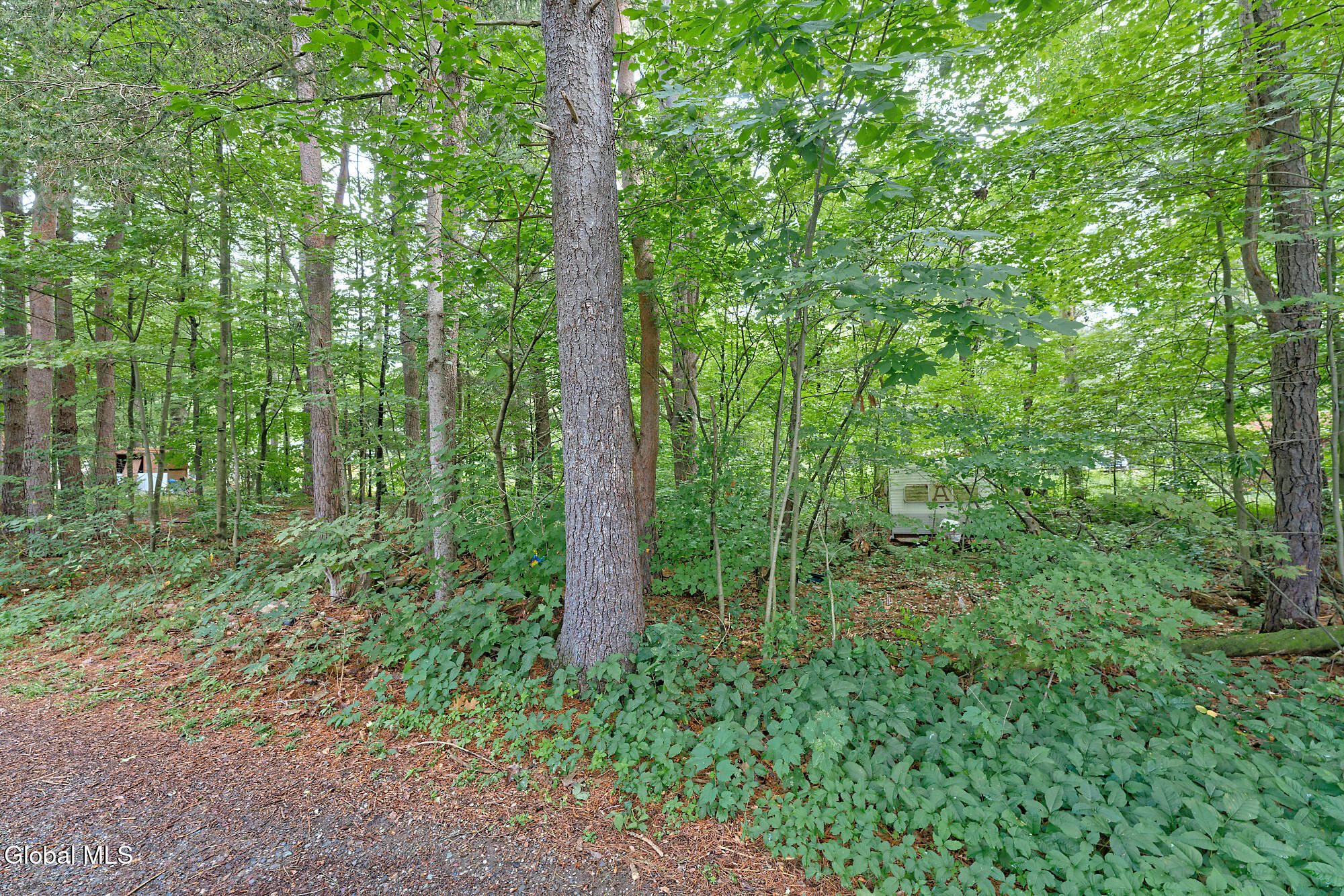 331 Battenkill Evergreens Salem NY 12865