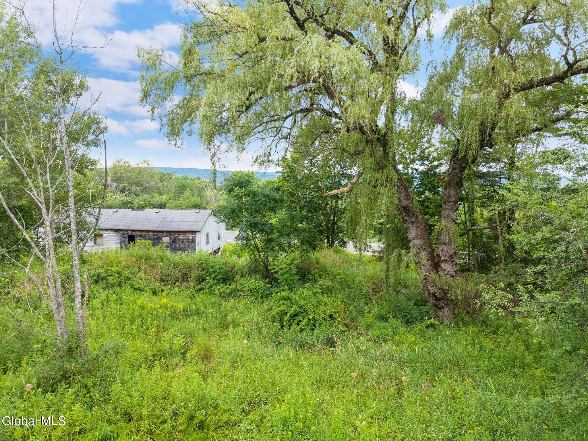 7056 State Highway 30 Duanesburg NY 12066